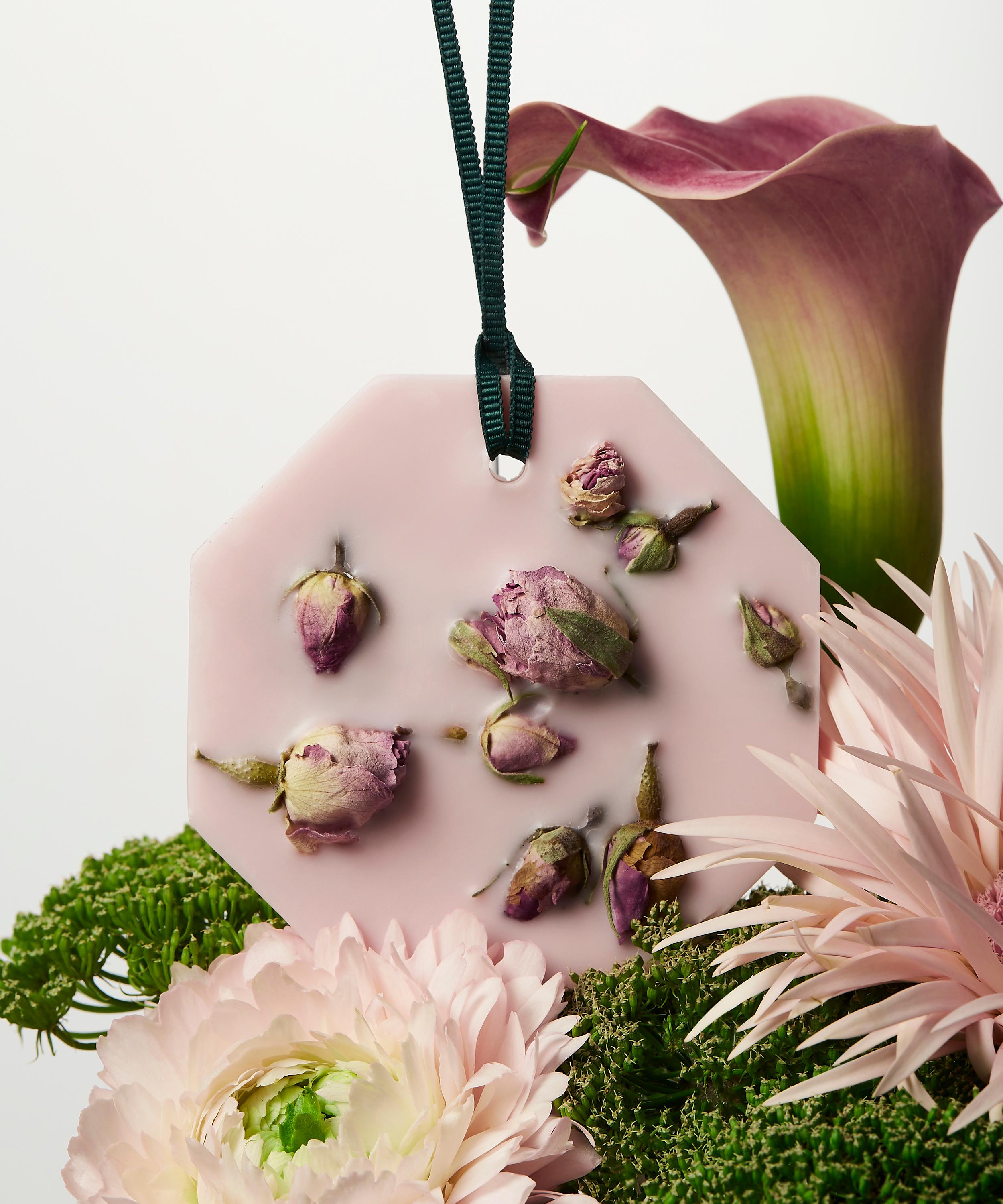 Carrière Frères - La Rose Aime La Menthe Botanical Palet Duo image number 2