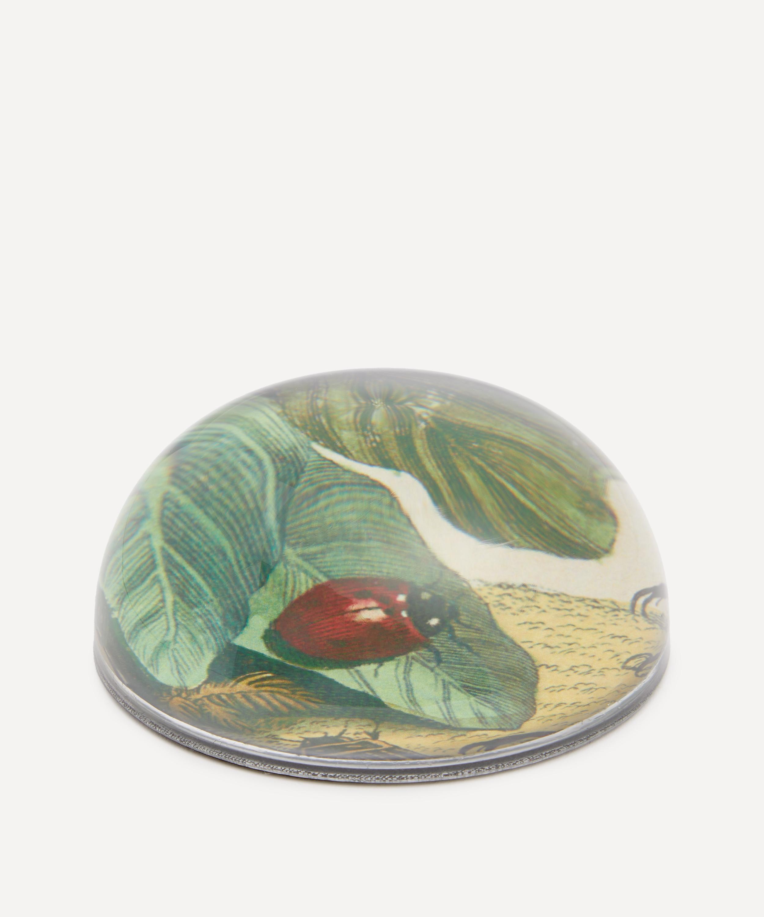 John Derian - Ladybug Paperweight image number 1