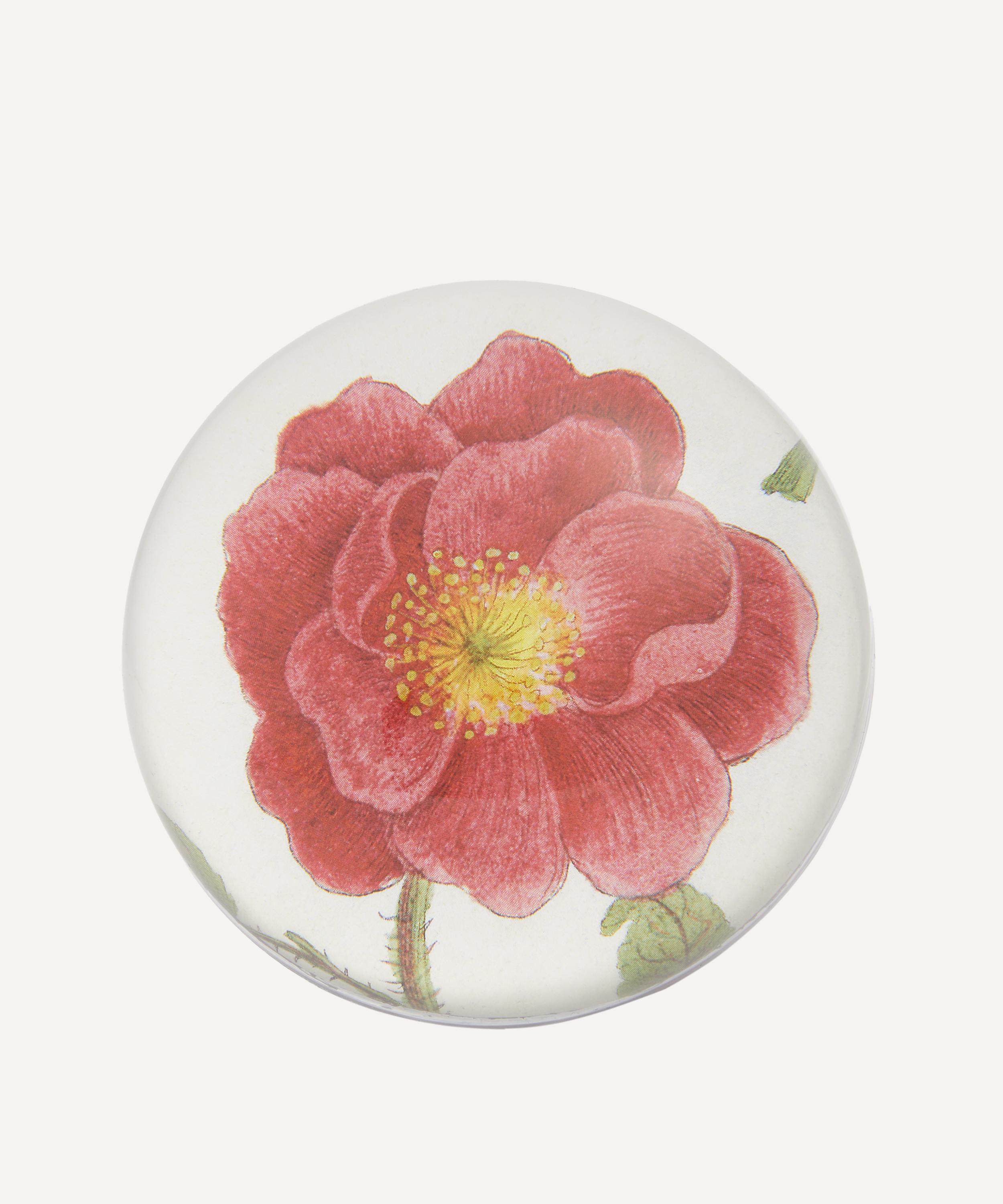 John Derian - Rosa Rubra Paperweight image number 0