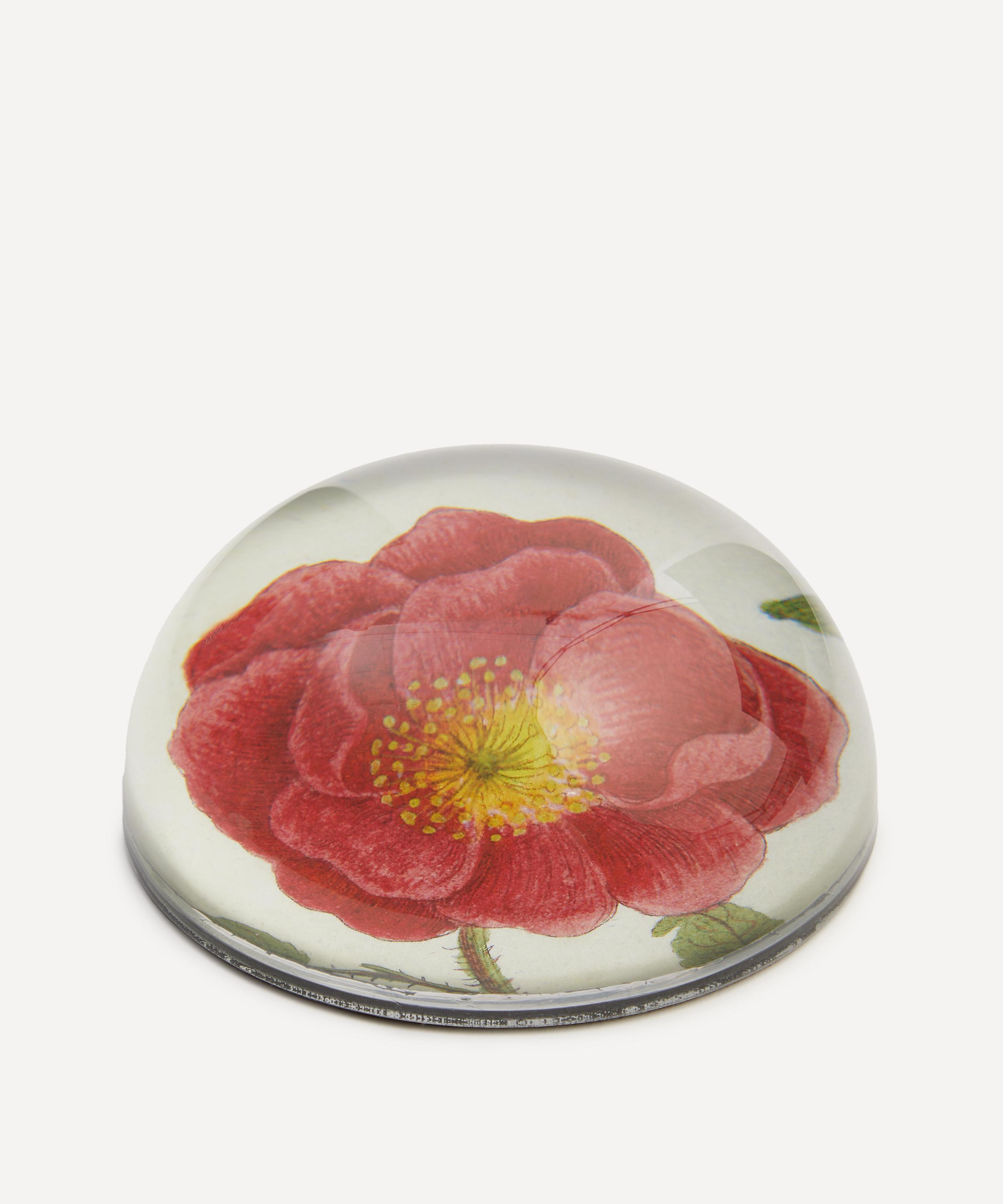 John Derian - Rosa Rubra Paperweight image number 1