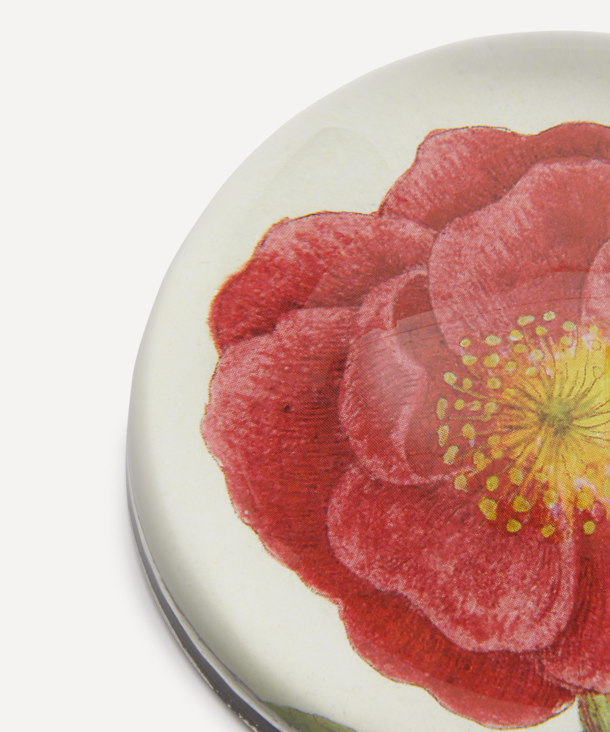 John Derian - Rosa Rubra Paperweight image number 2