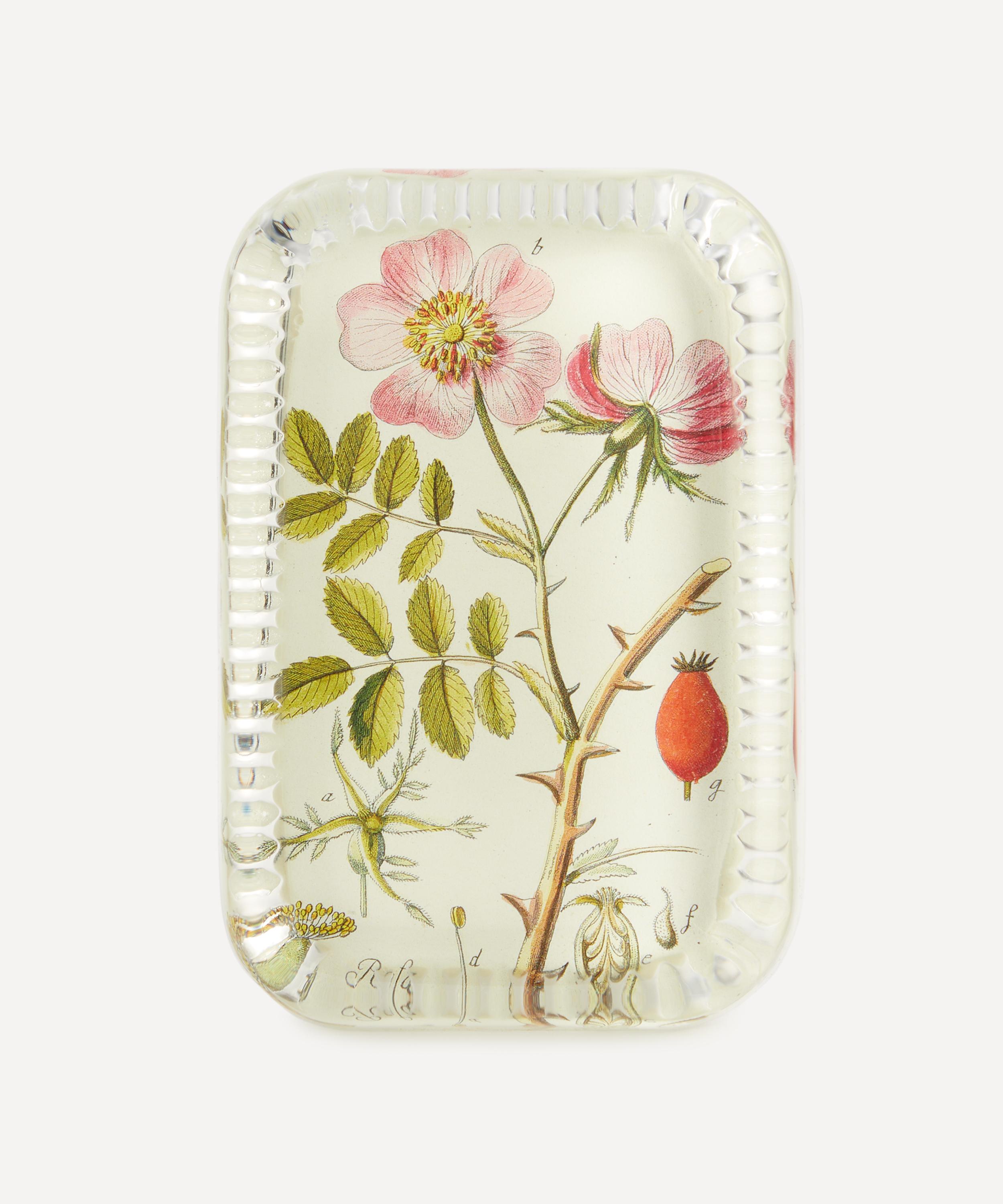 John Derian - Rose Cannia Dotted Edge Paperweight