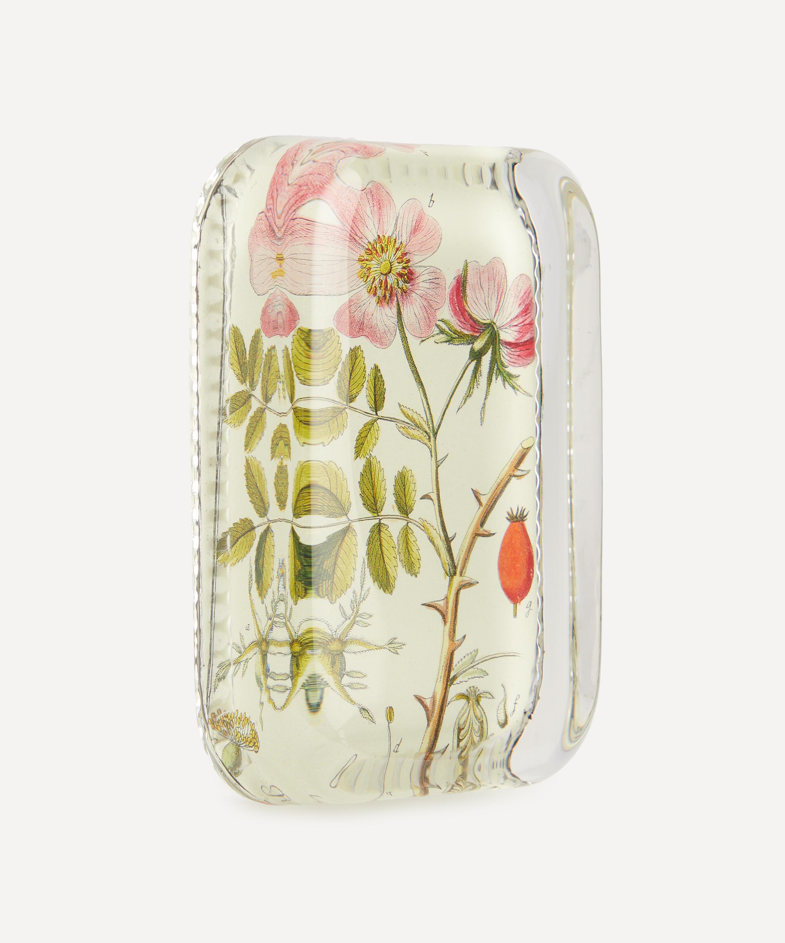 John Derian - Rose Cannia Dotted Edge Paperweight image number 1