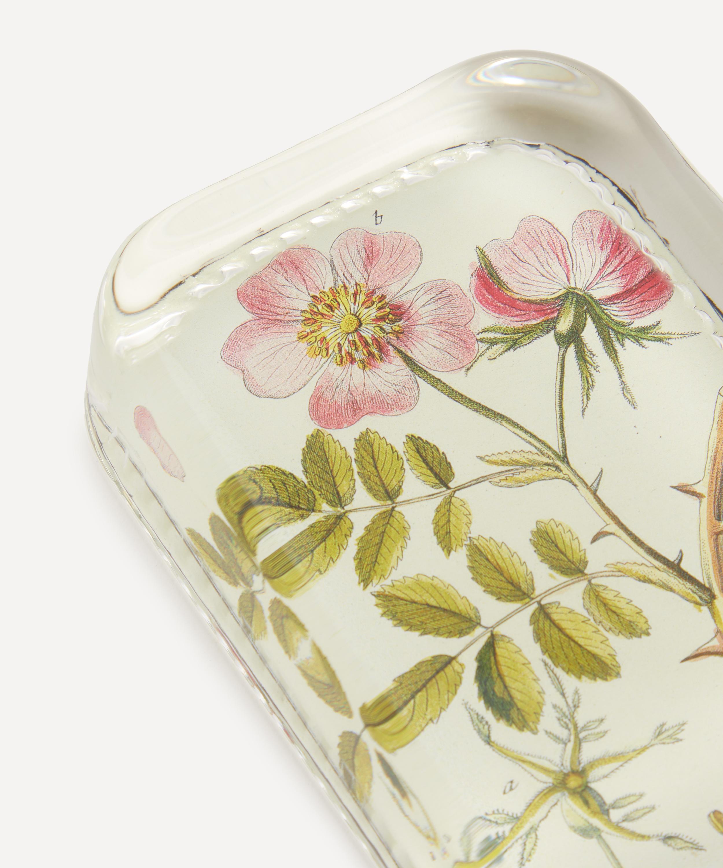 John Derian - Rose Cannia Dotted Edge Paperweight image number 3