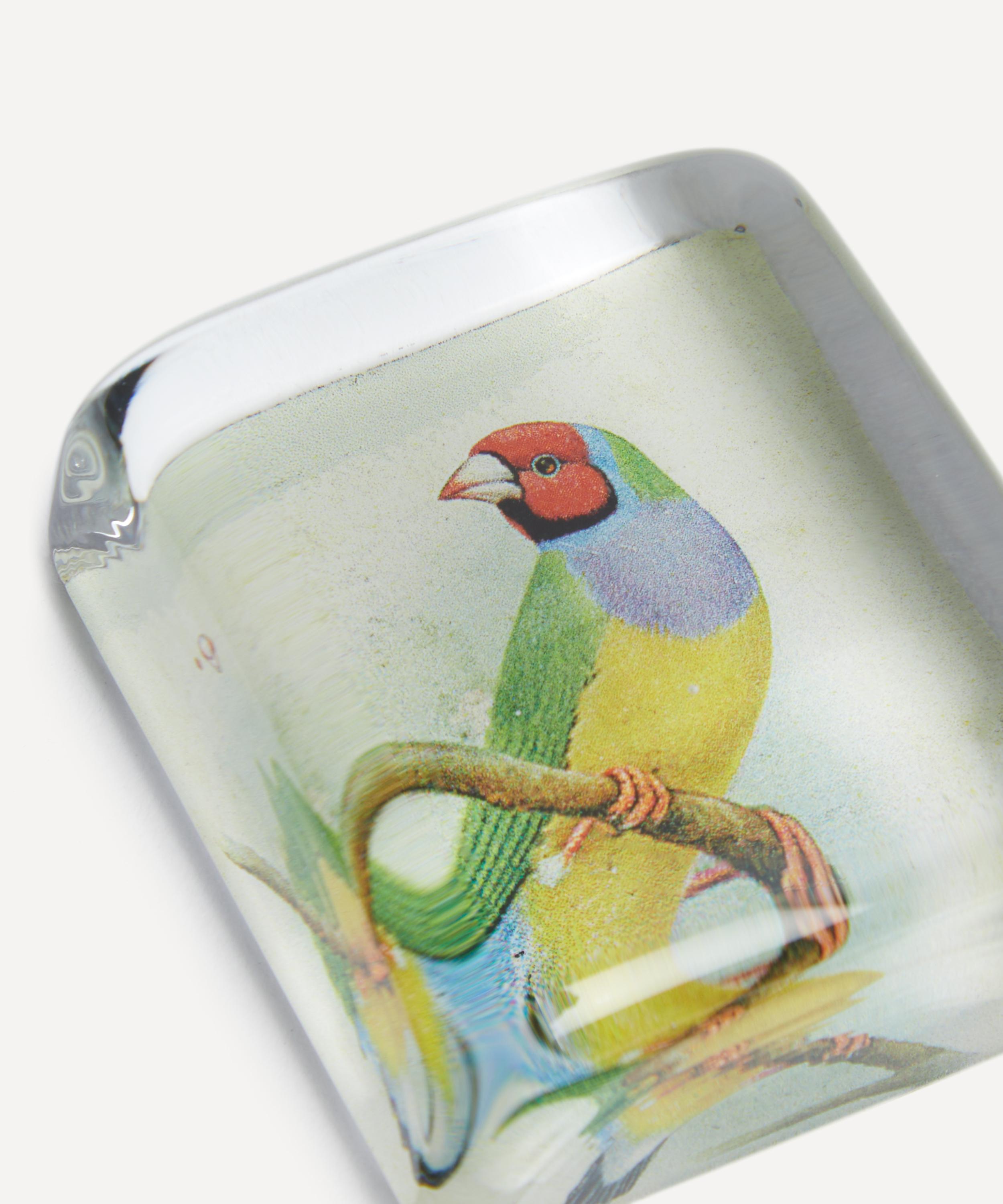 John Derian - Red-Headed Gouldian Finch Paperweight image number 2