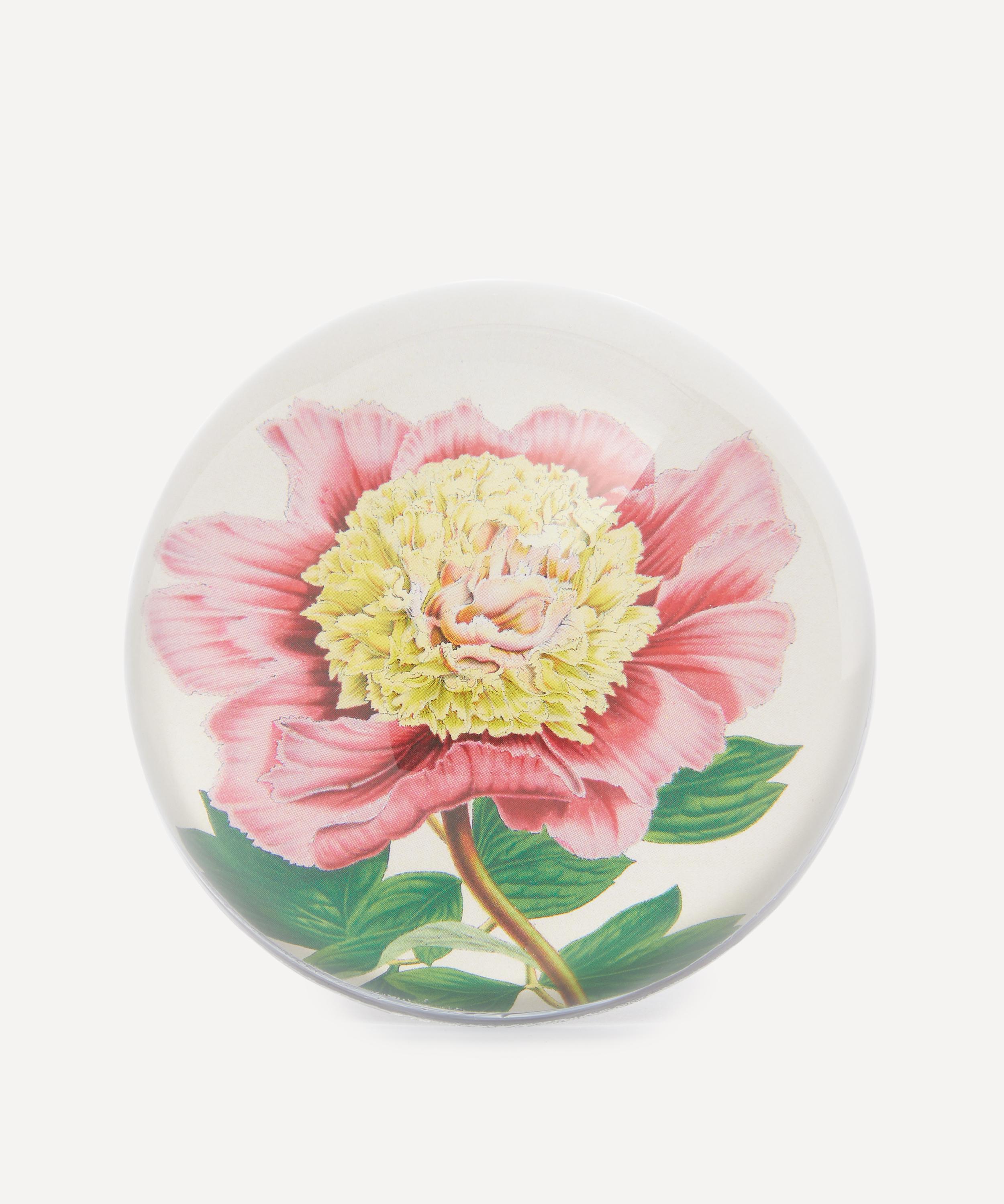 John Derian - Peony Albifl Paperweight image number 0