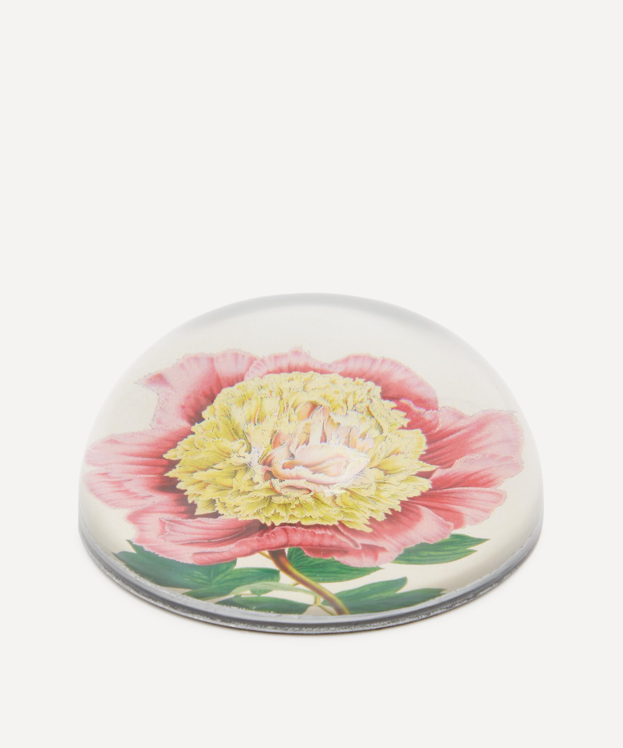 John Derian - Peony Albifl Paperweight image number 1