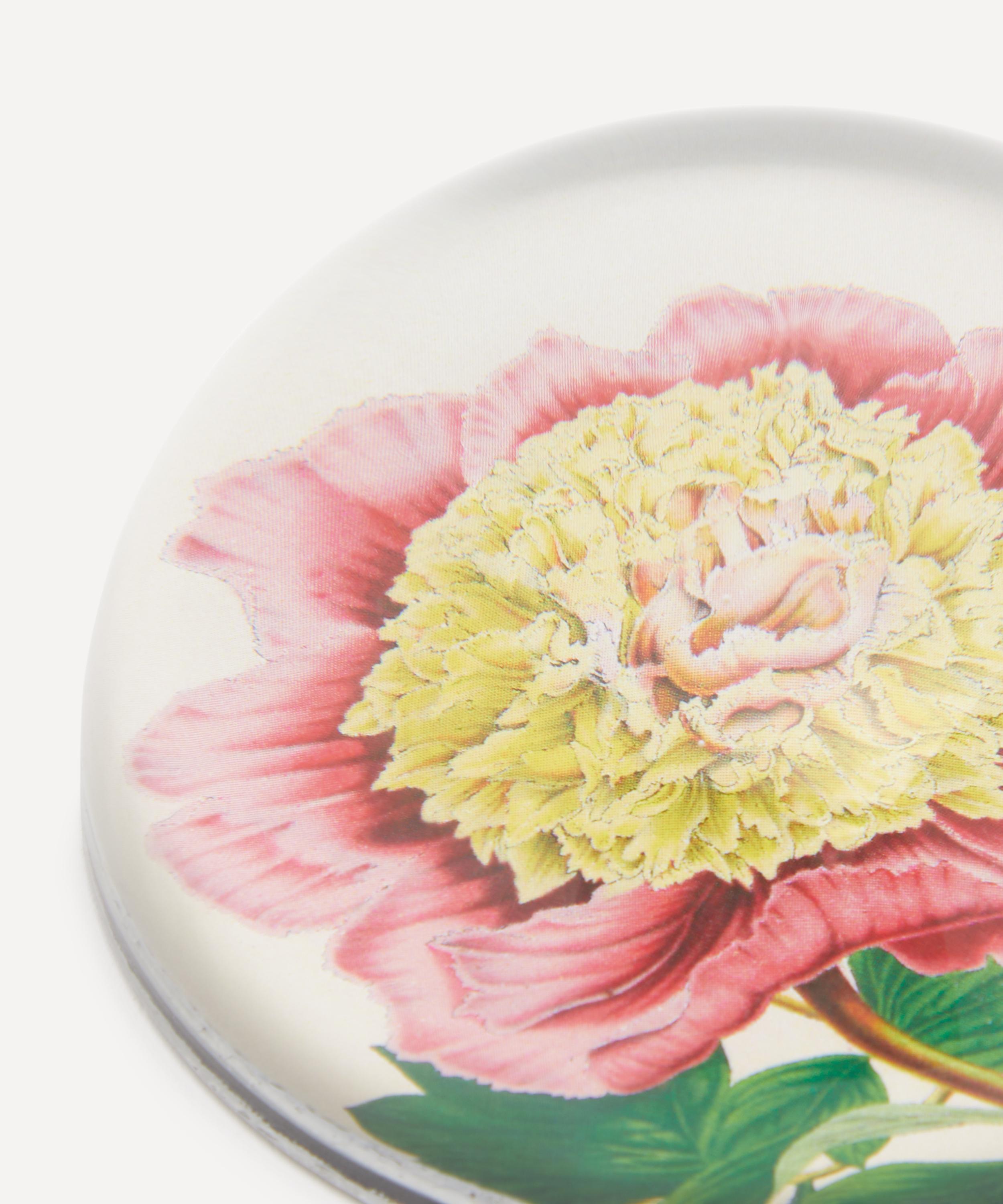 John Derian - Peony Albifl Paperweight image number 2