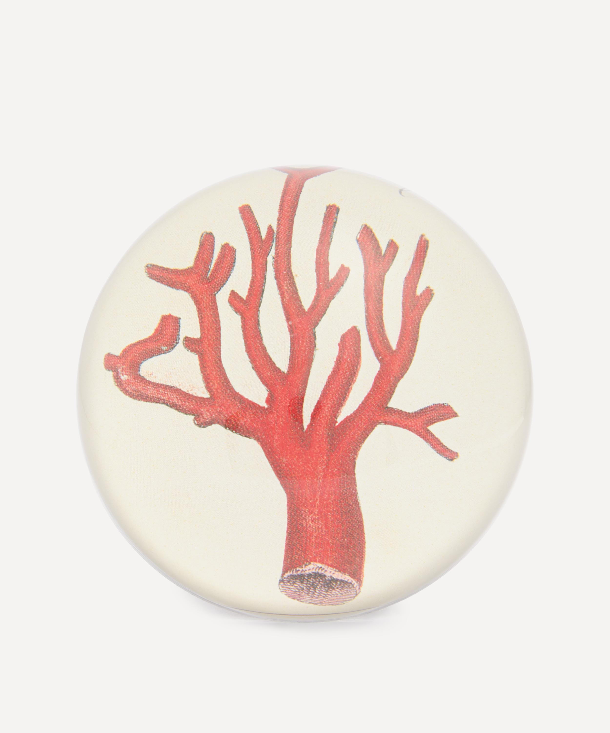 John Derian - Red Coral Paperweight image number 0