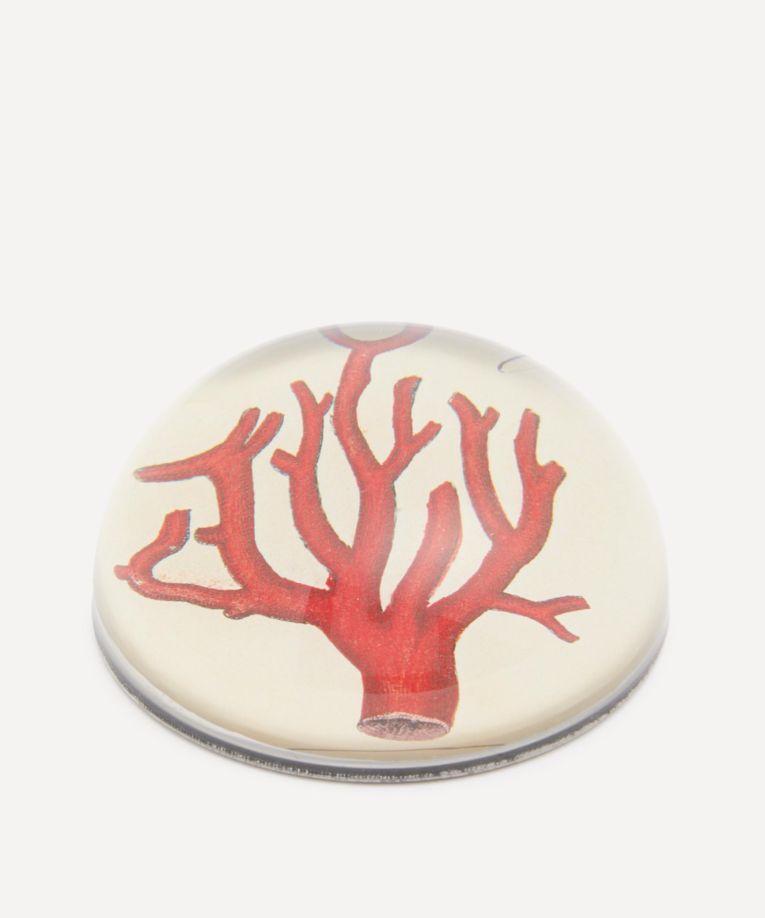 John Derian - Red Coral Paperweight image number 1