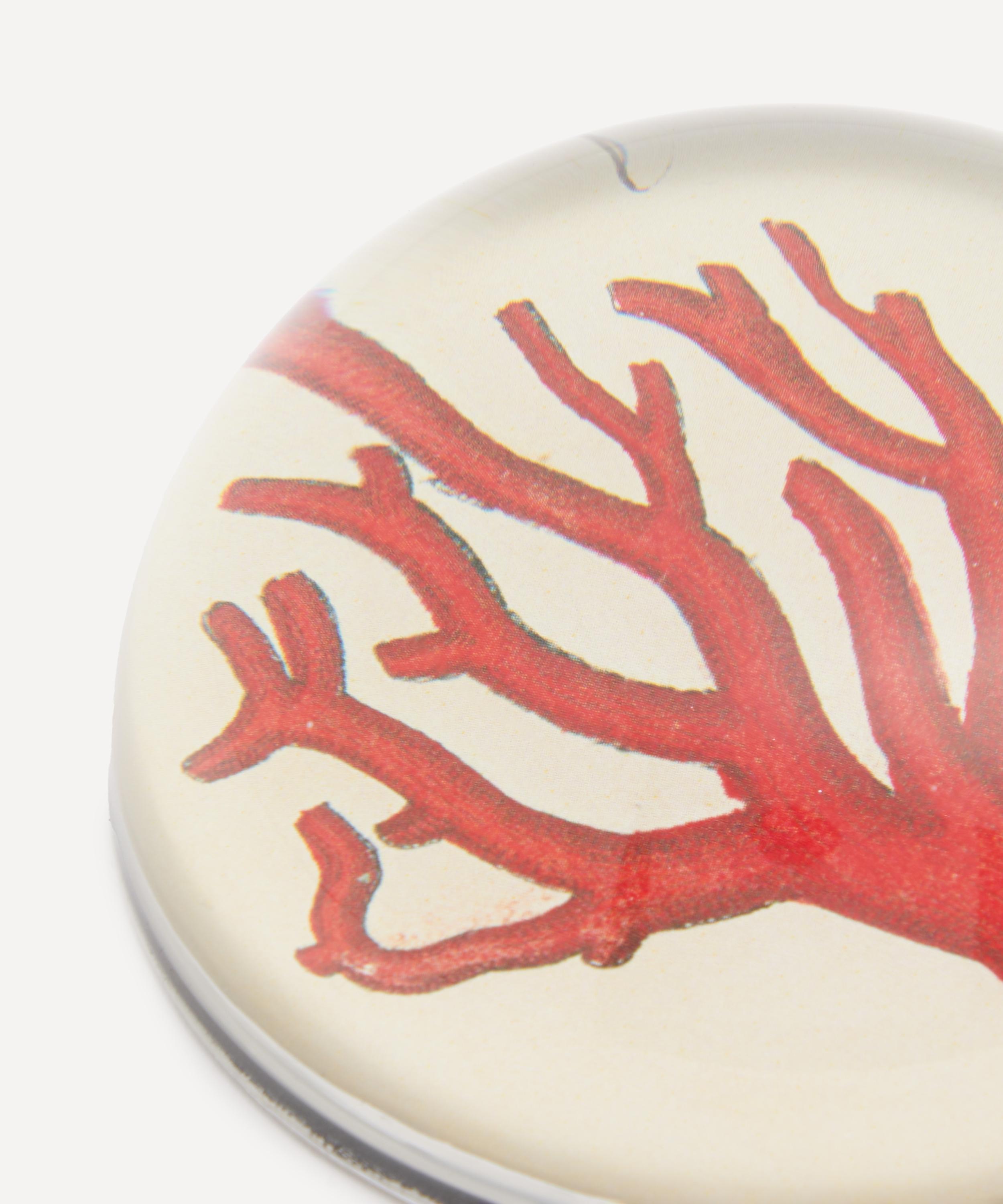 John Derian - Red Coral Paperweight image number 2