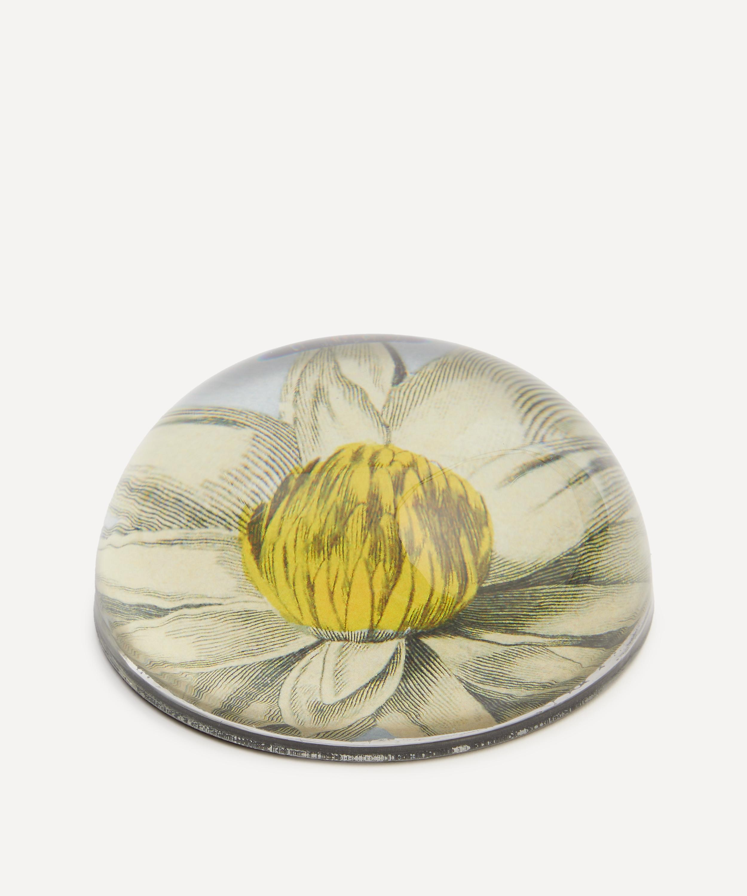 John Derian - Water Lily Paperweight image number 1