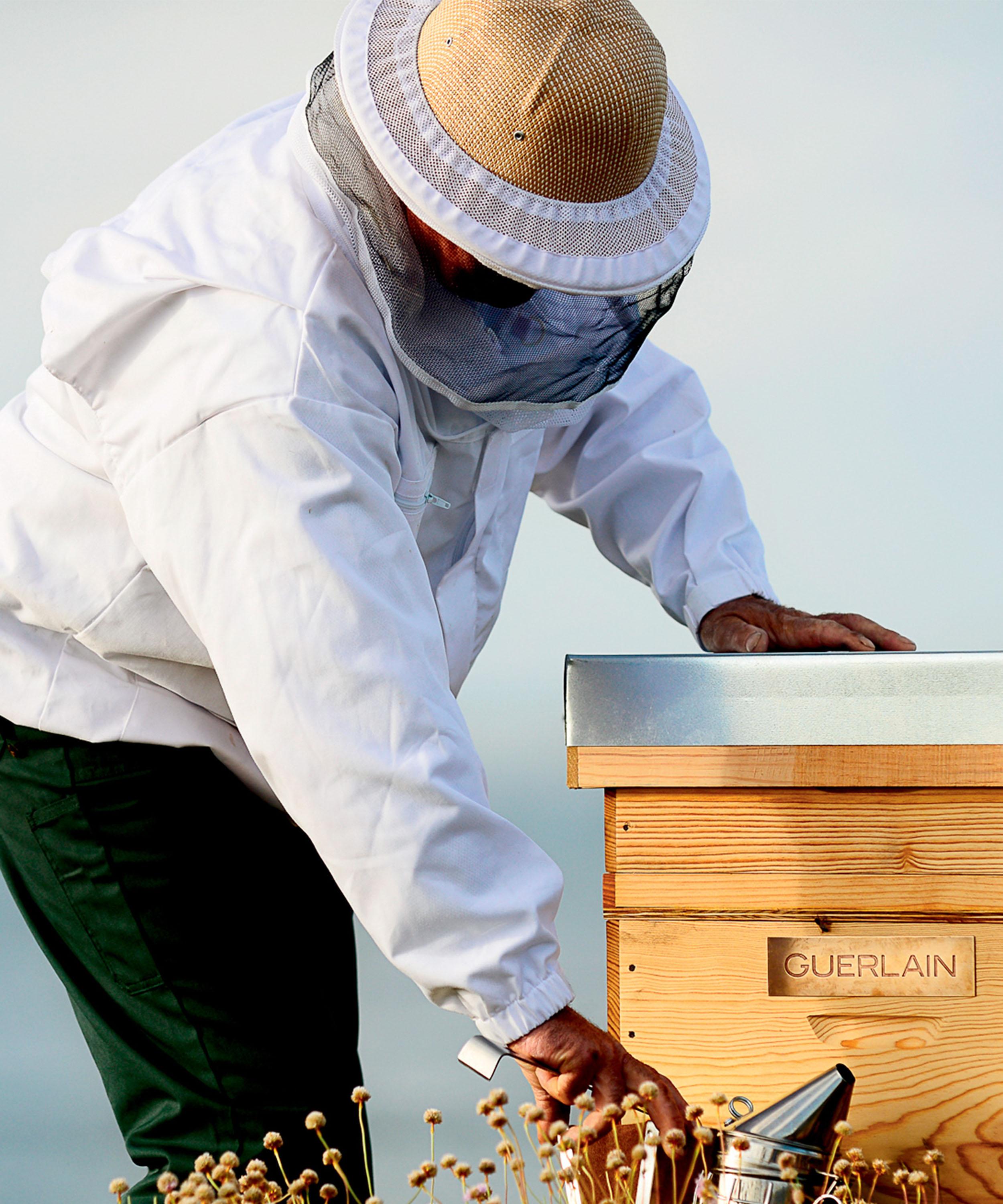 Guerlain - Abeille Royale Double R Renew and Repair Advanced Serum 30ml image number 1