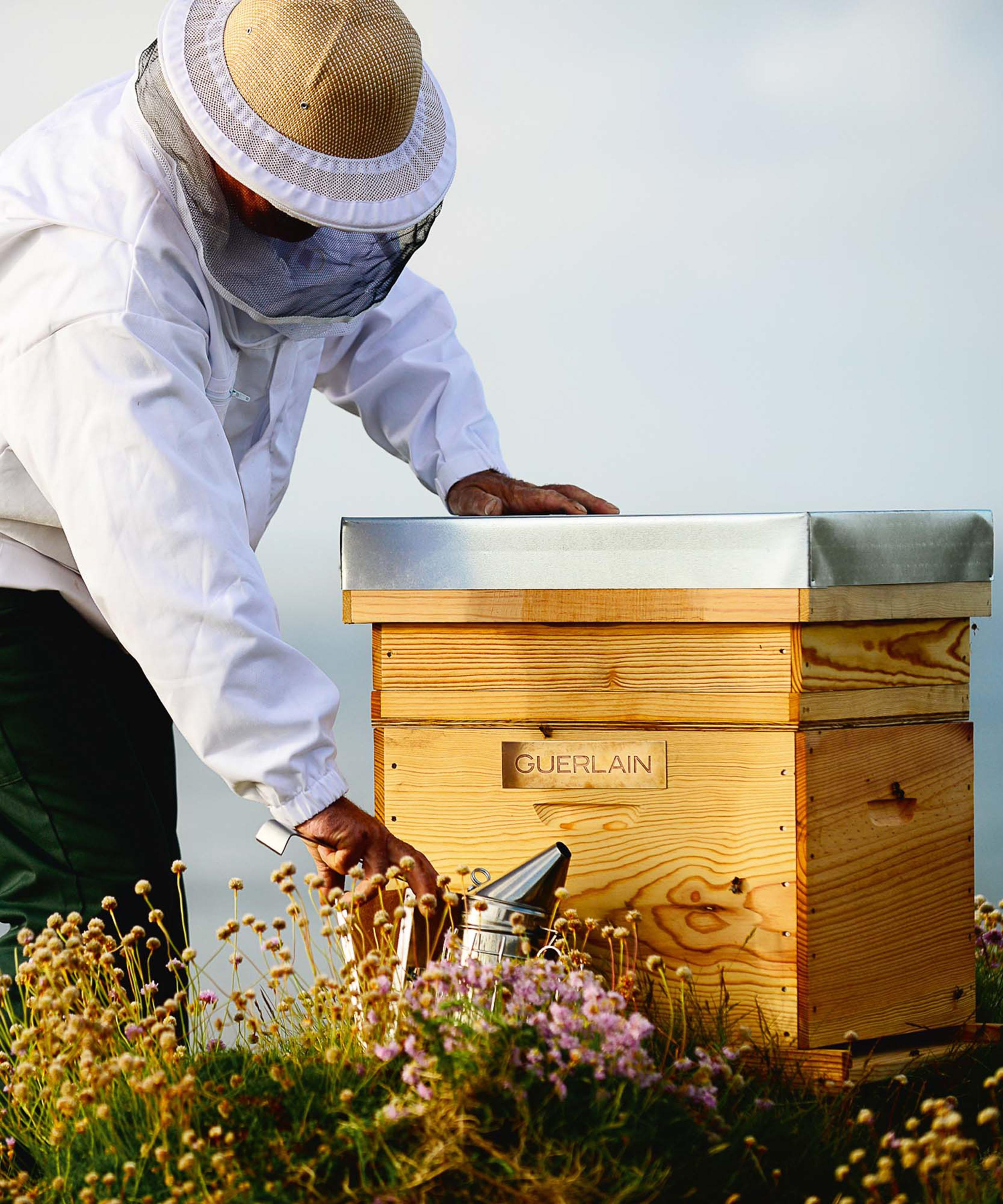 Guerlain - Abeille Royale Daily Repair Serum 50ml image number 1