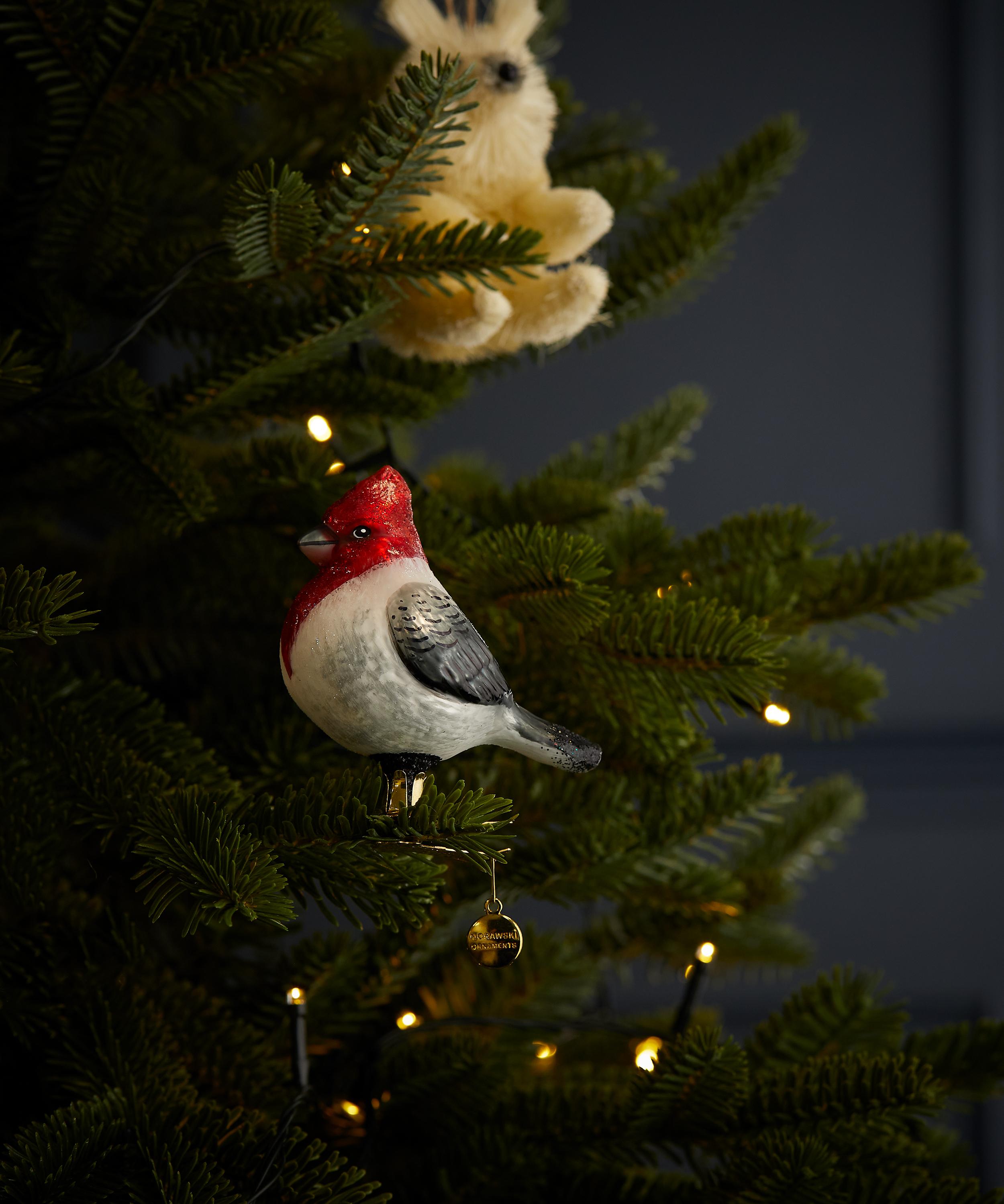 Christmas - Red-White Cardinal Christmas Ornament image number 1