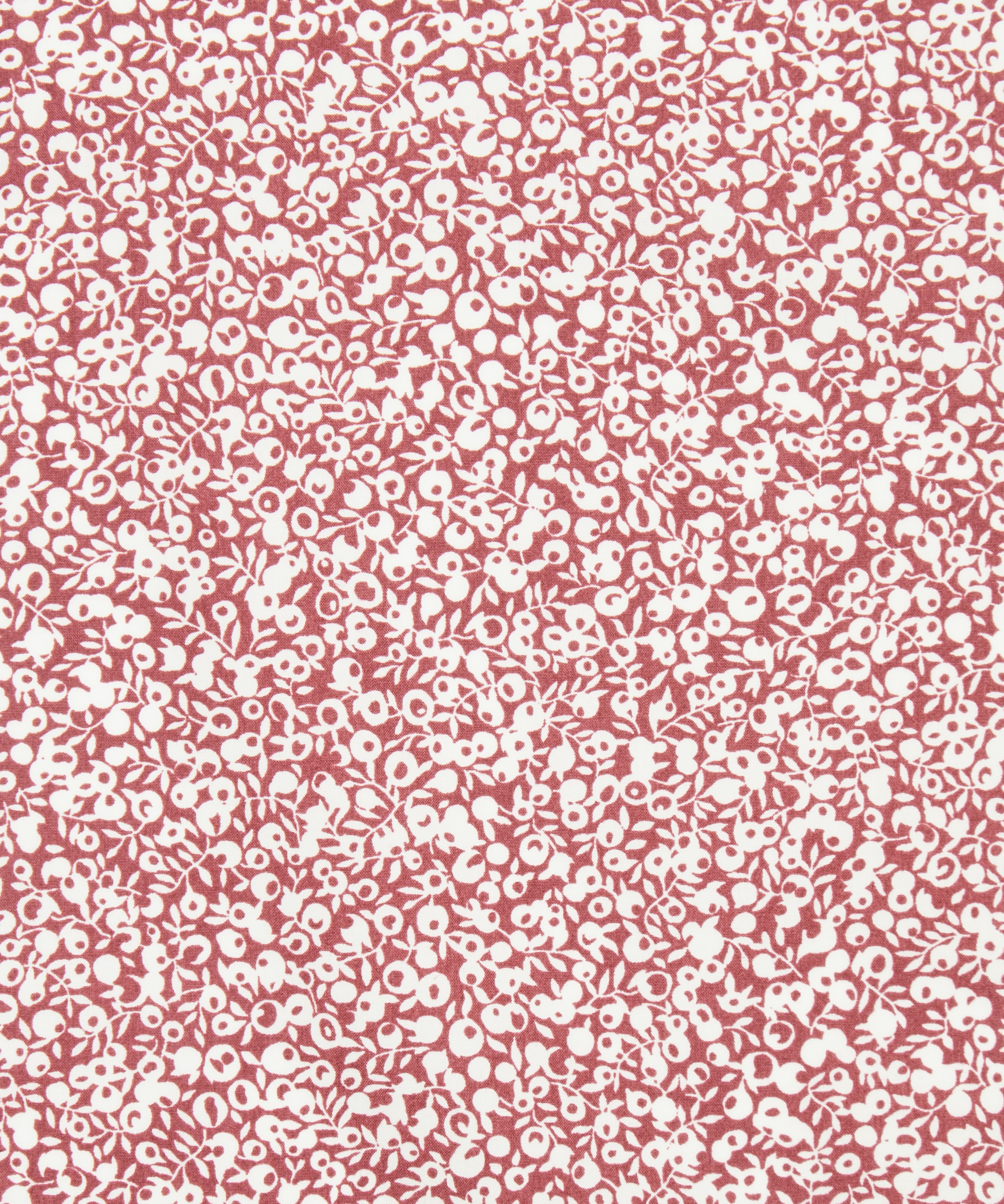 Liberty Fabrics - Wiltshire Wonder Cotton Poplin image number 0