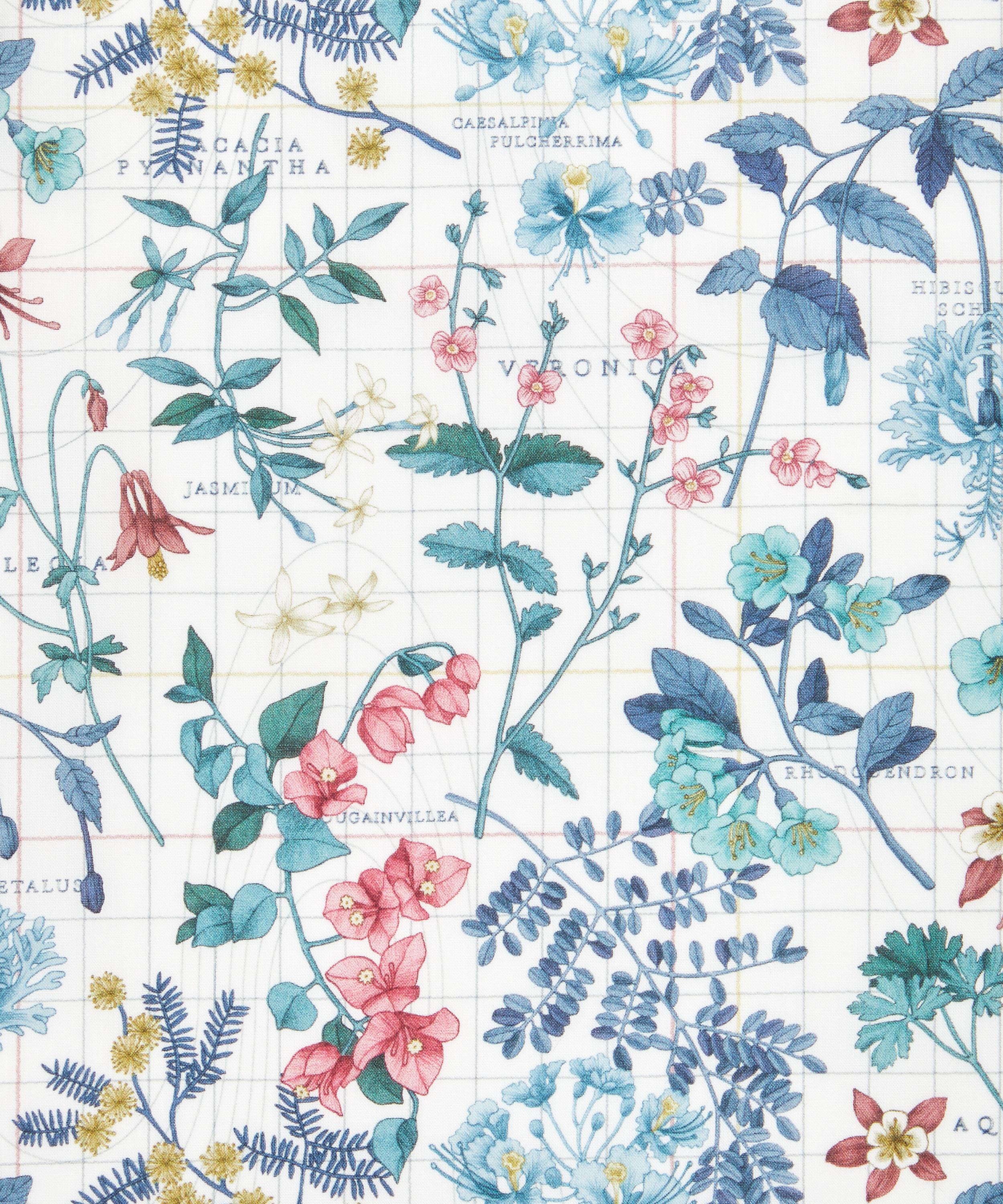 Liberty Fabrics - Botanist’s Journey Tana Lawn™ Cotton image number 0