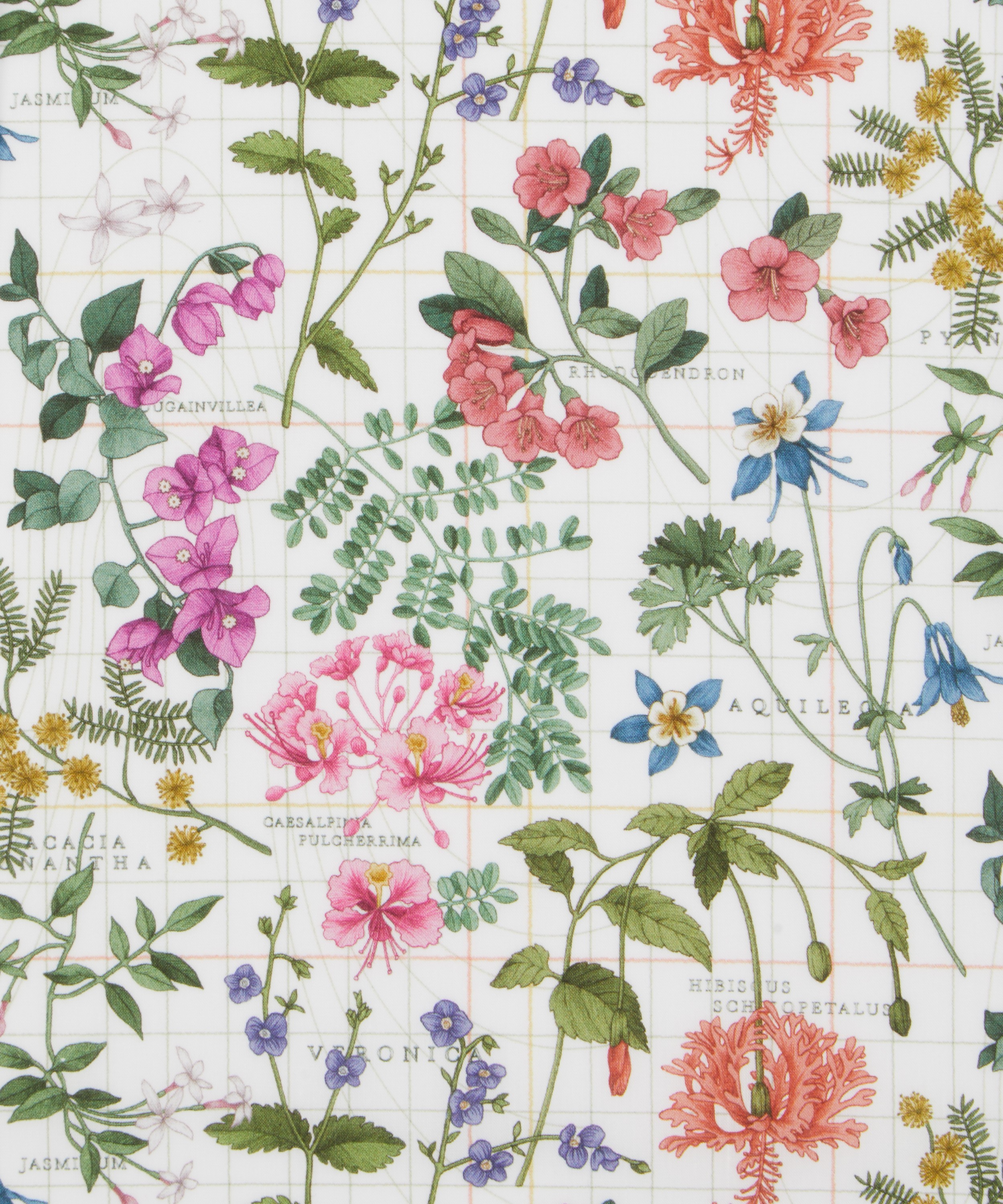 Liberty Fabrics - Botanist’s Journey Tana Lawn™ Cotton image number 0