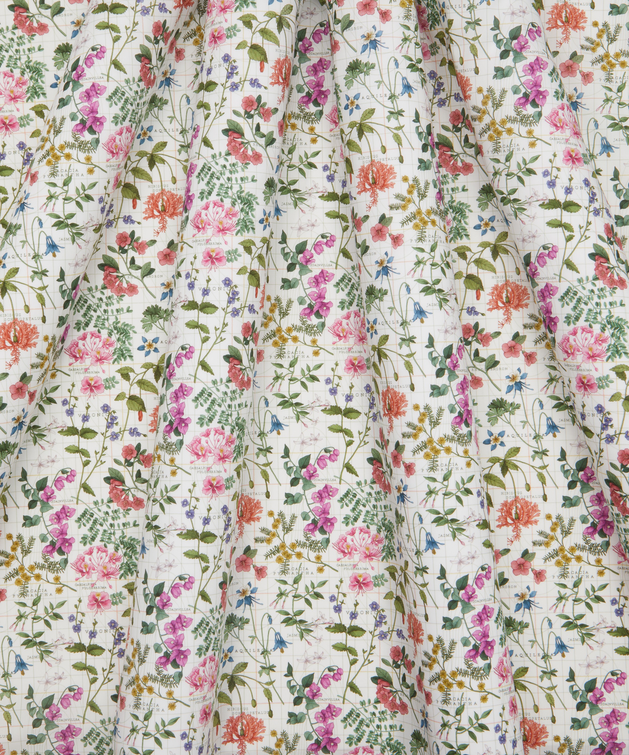 Liberty Fabrics - Botanist’s Journey Tana Lawn™ Cotton image number 2