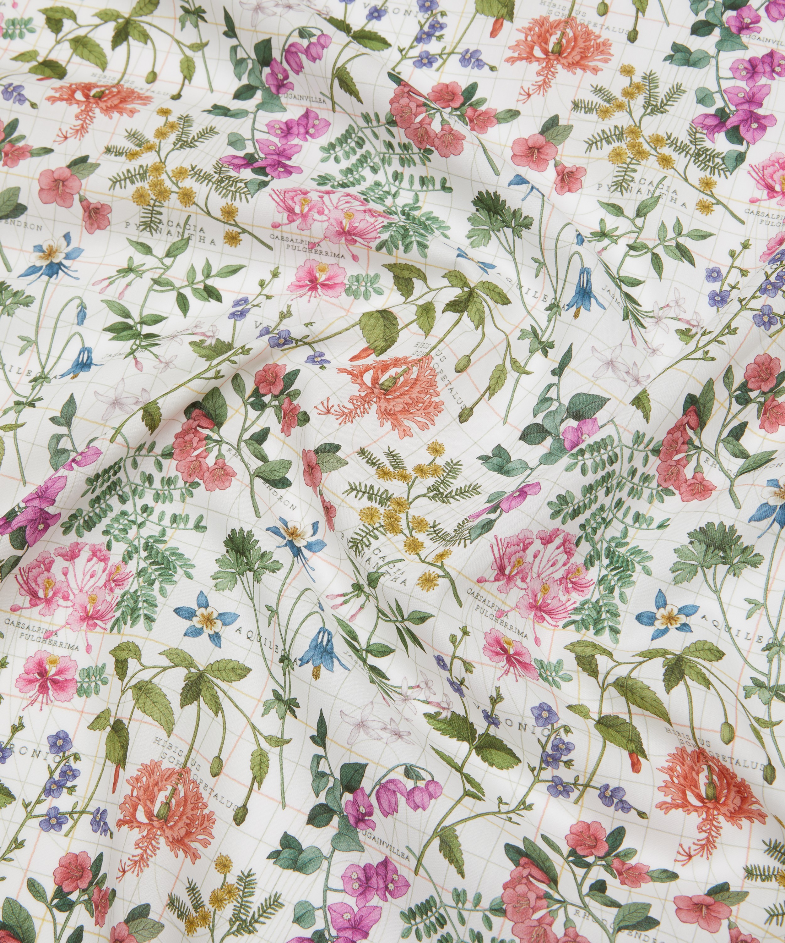 Liberty Fabrics - Botanist’s Journey Tana Lawn™ Cotton image number 3