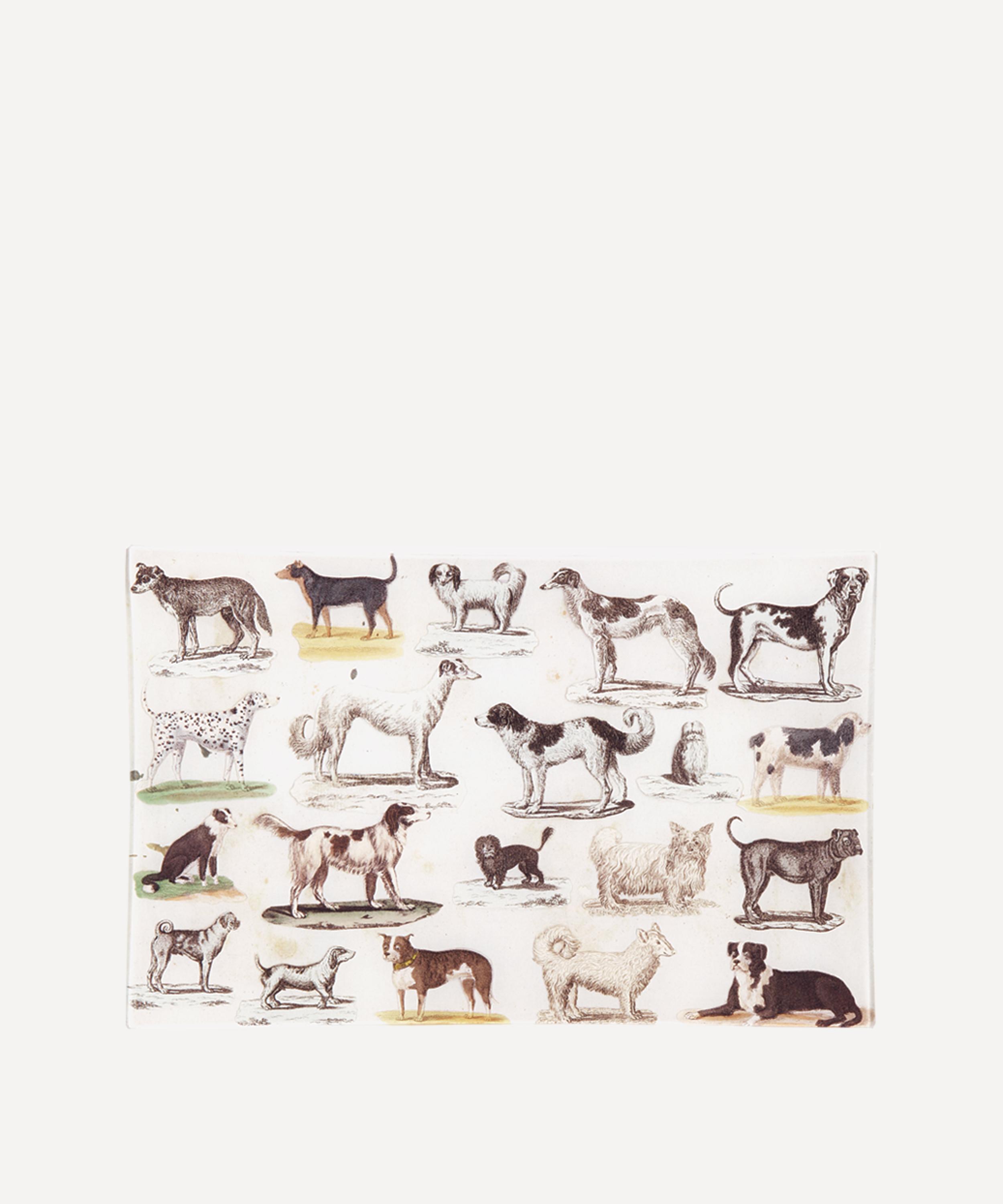 John Derian - Dog Run Letter Tray image number 0