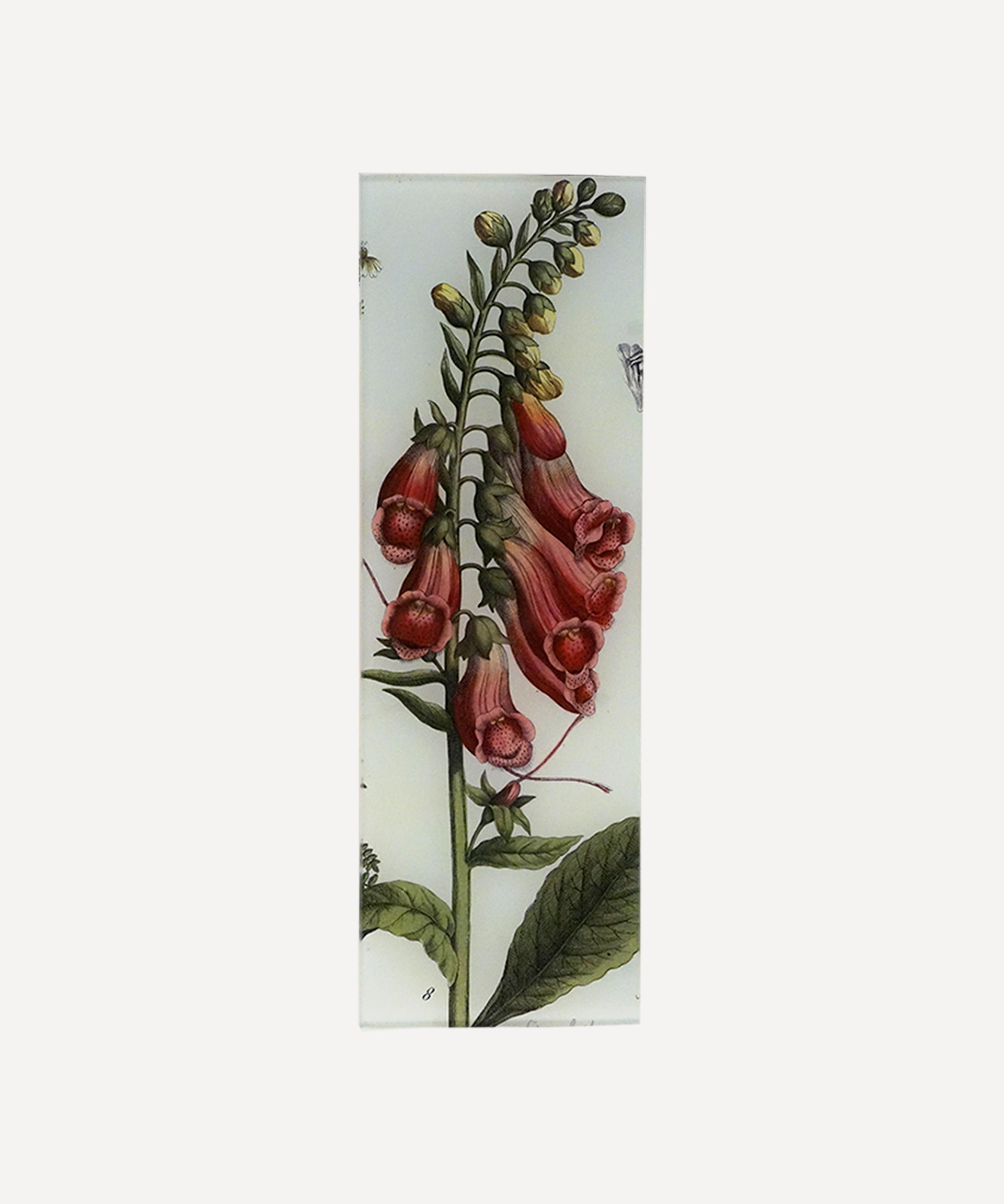 John Derian - Foxglove Rectangular Tray image number 0