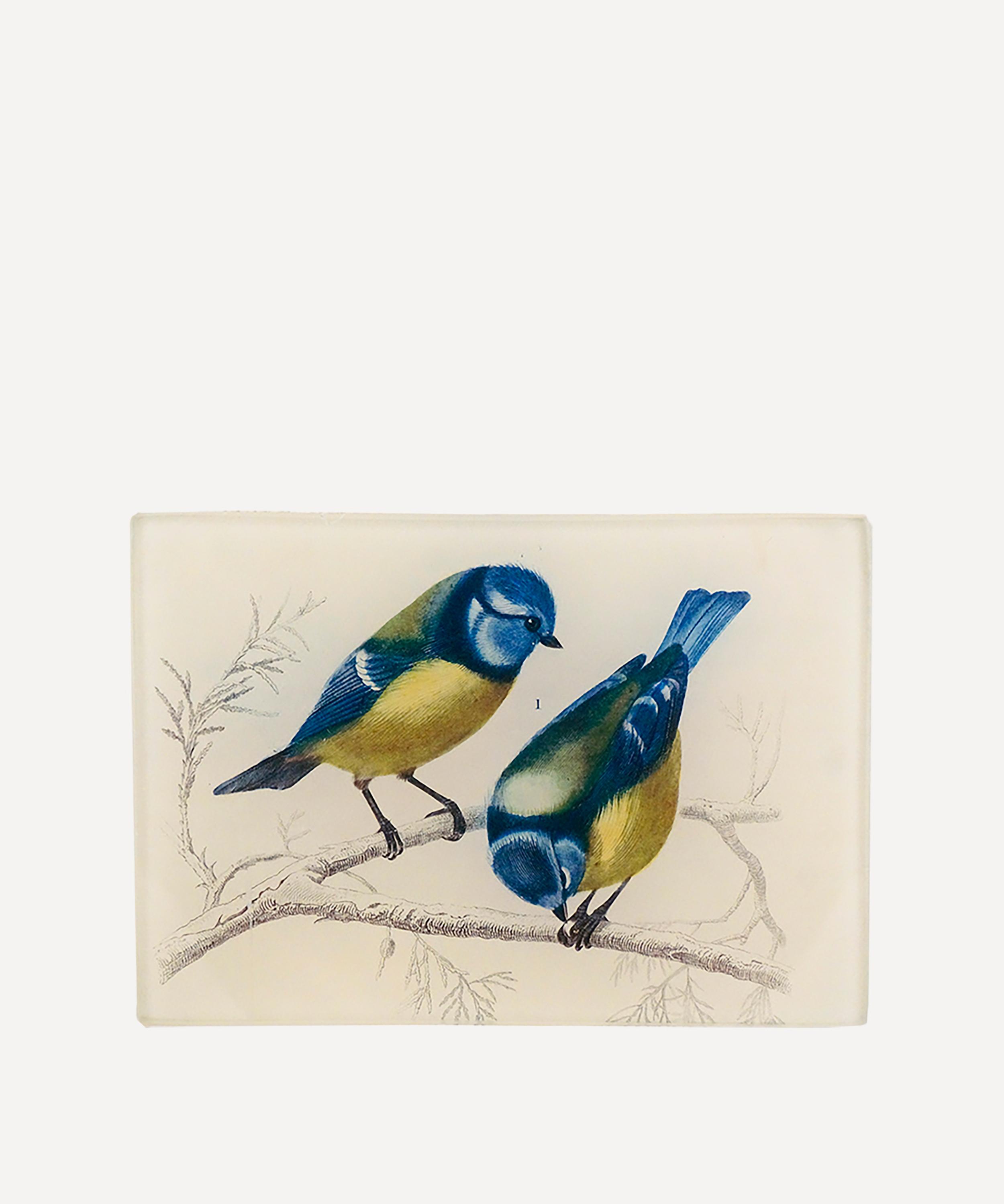 John Derian - Yellow-Breasted Blue Tit Rectangular Tray image number 0