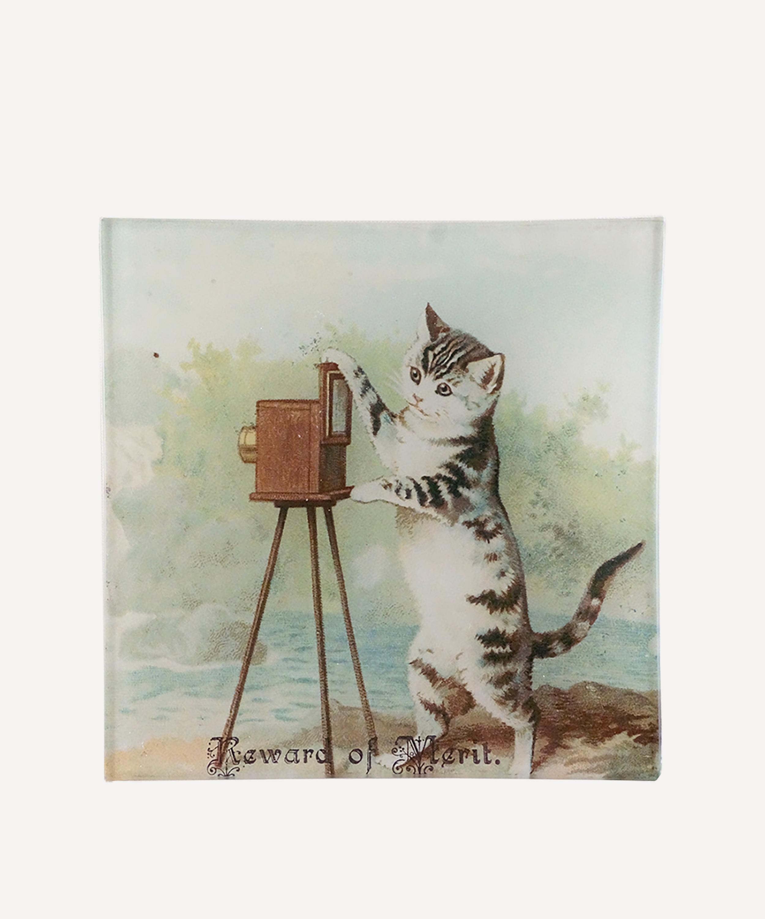 John Derian - Reward of Merit Cat Vide Poche Tray image number 0