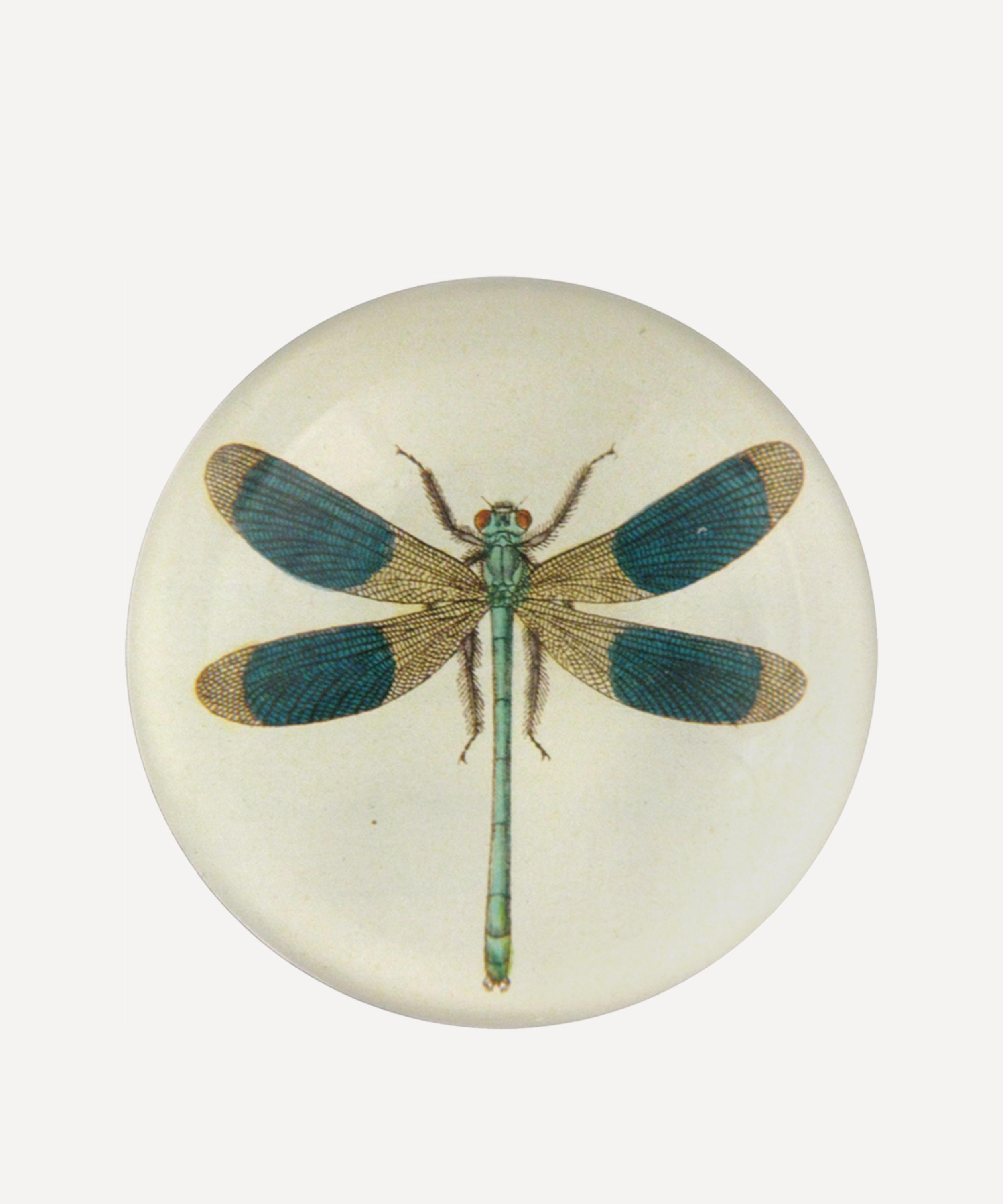 John Derian - Dragonfly Dome Paperweight image number 0