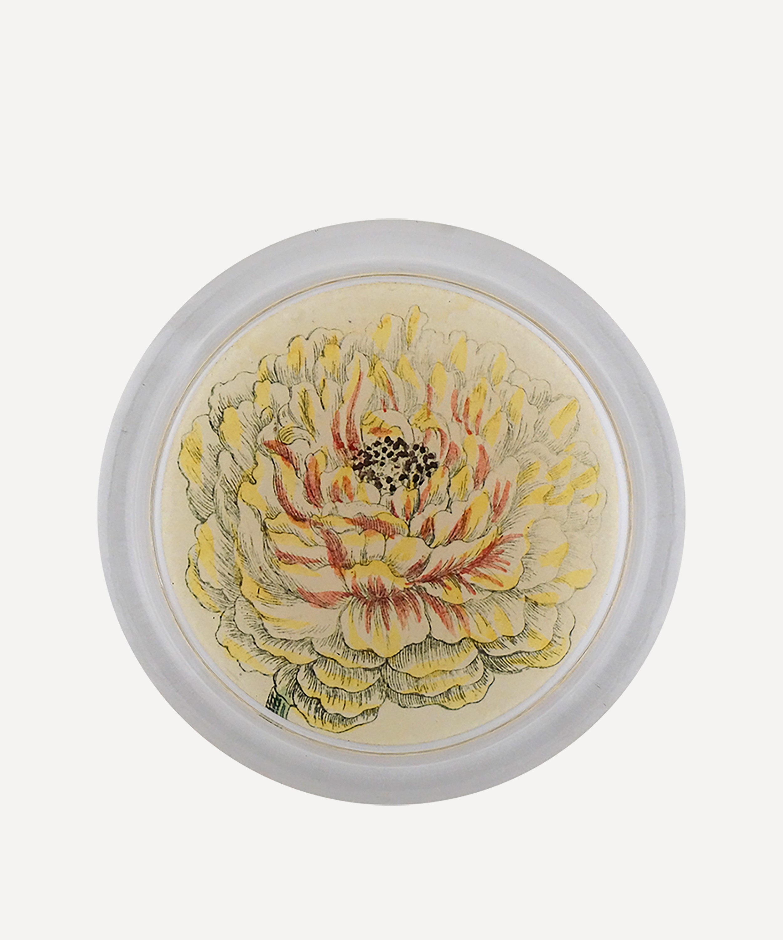 John Derian - Ranunculus 851C Coaster image number 0