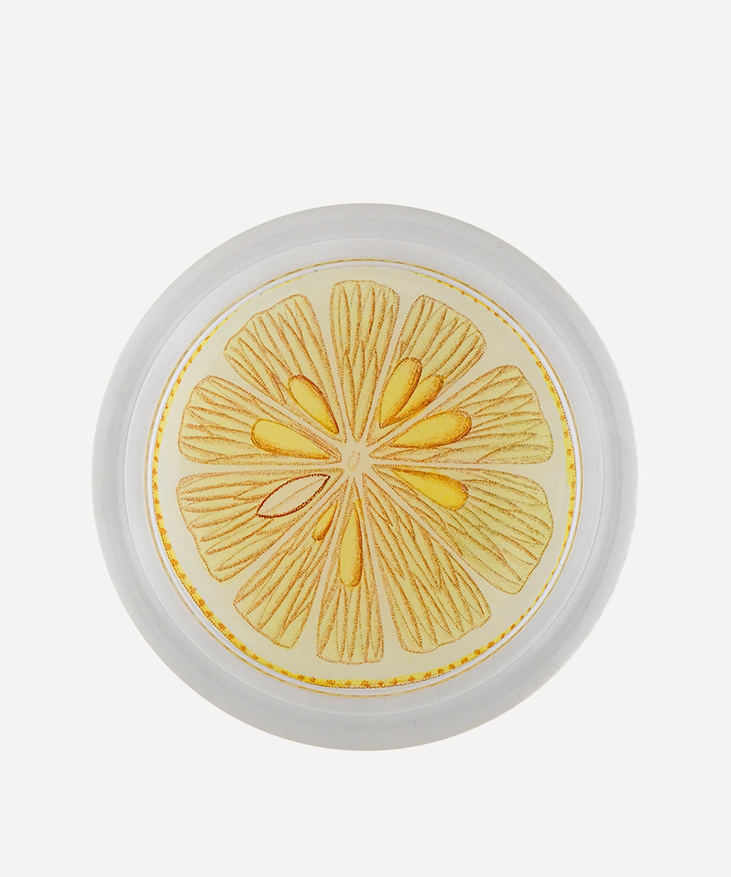 John Derian - Limonier Citrus Coaster image number 0