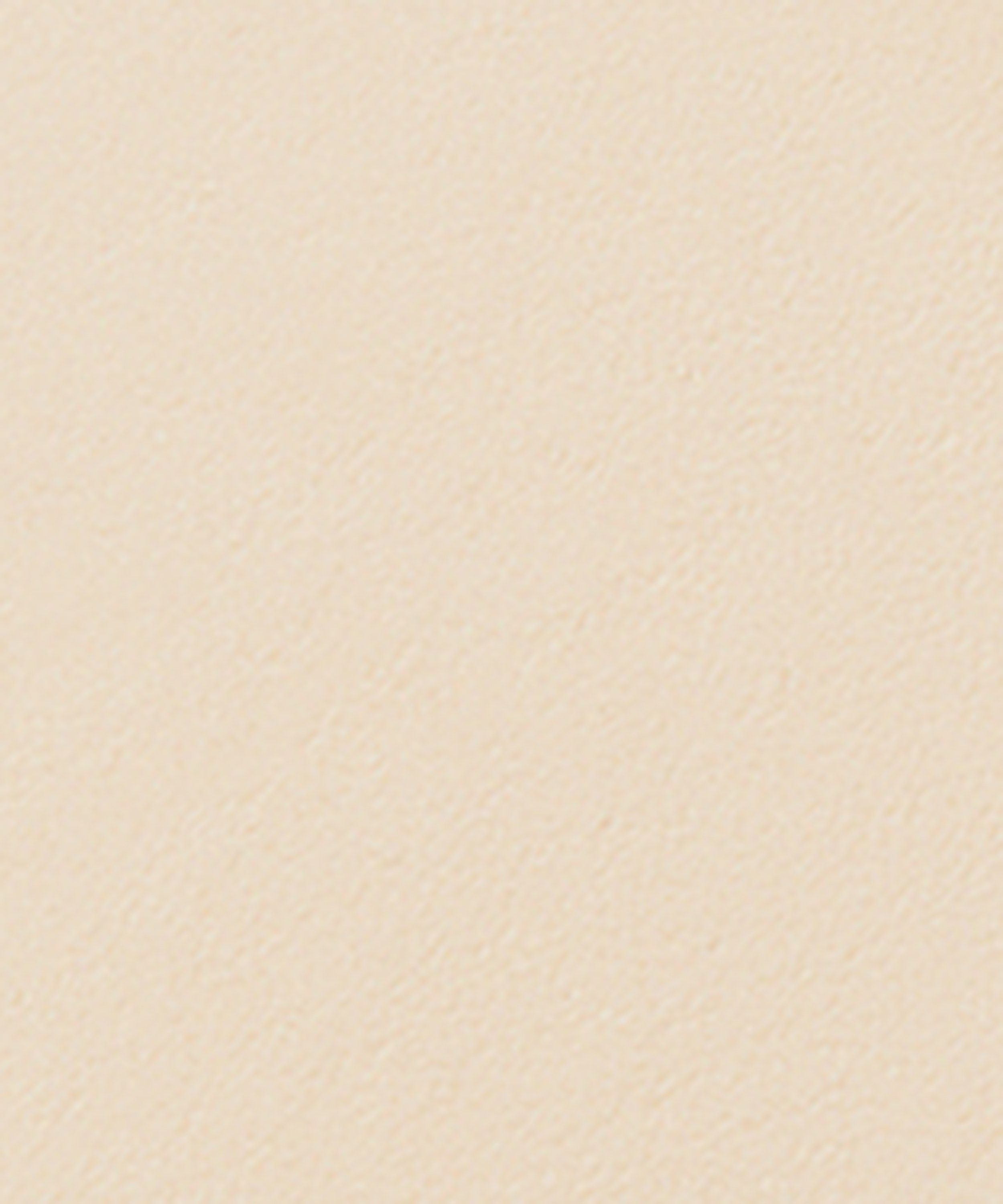 Vanish Airbrush Pressed Powder 10.5g