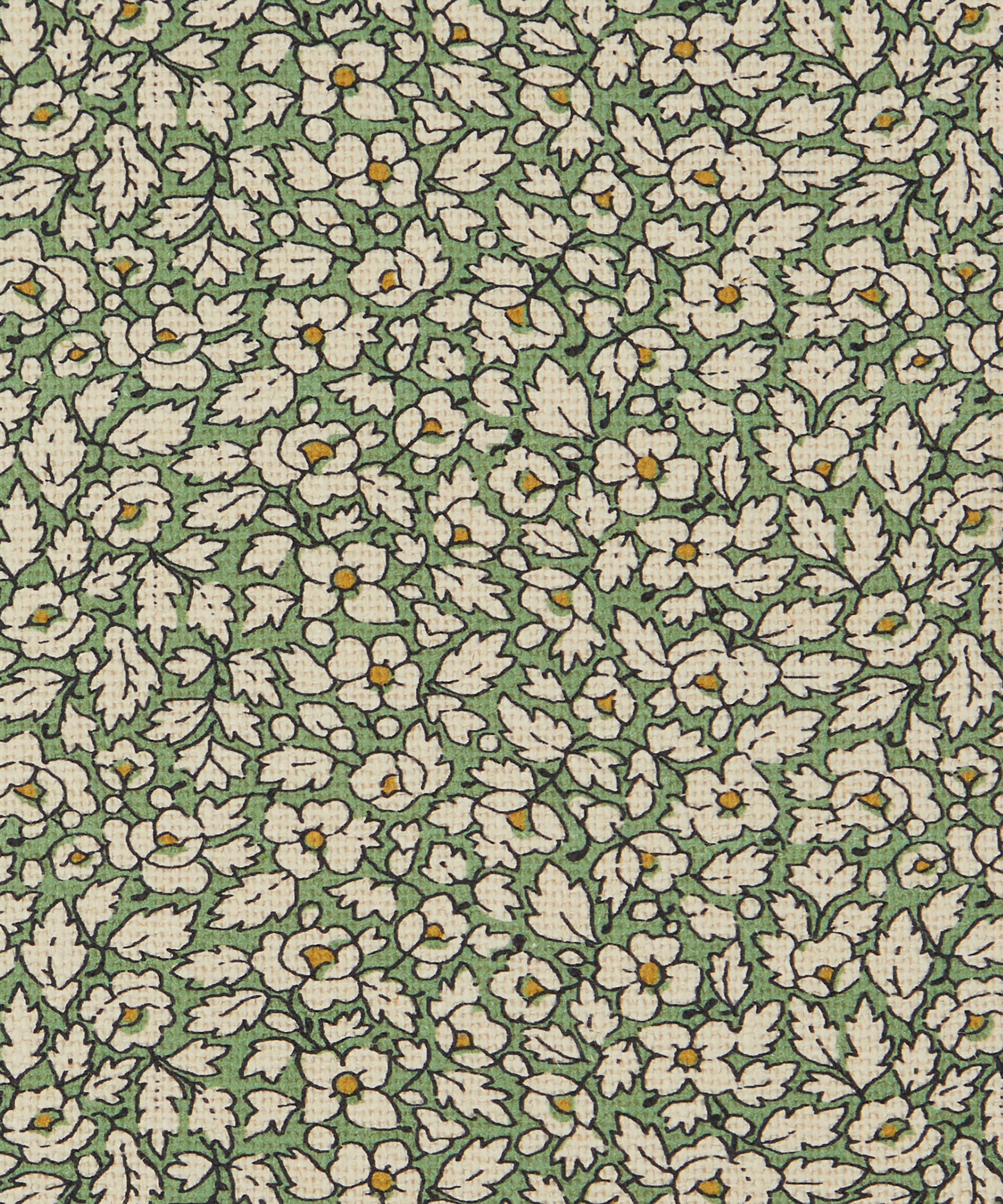Liberty Interiors - Feather Petals Linen in Artichoke image number 0