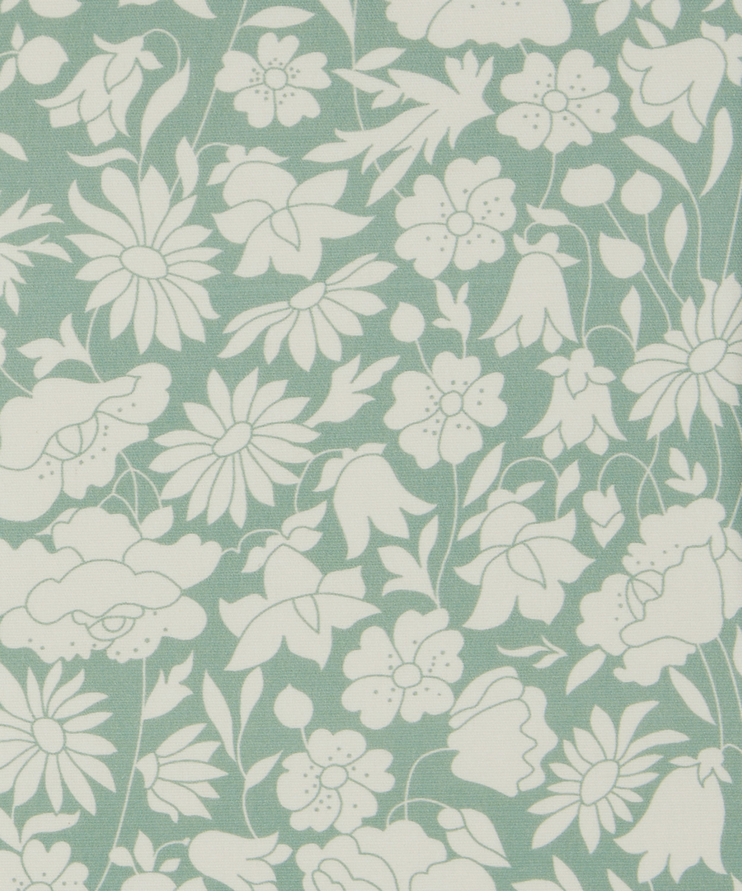 Liberty Interiors - Poppy Grace Cotton in Salvia image number 0