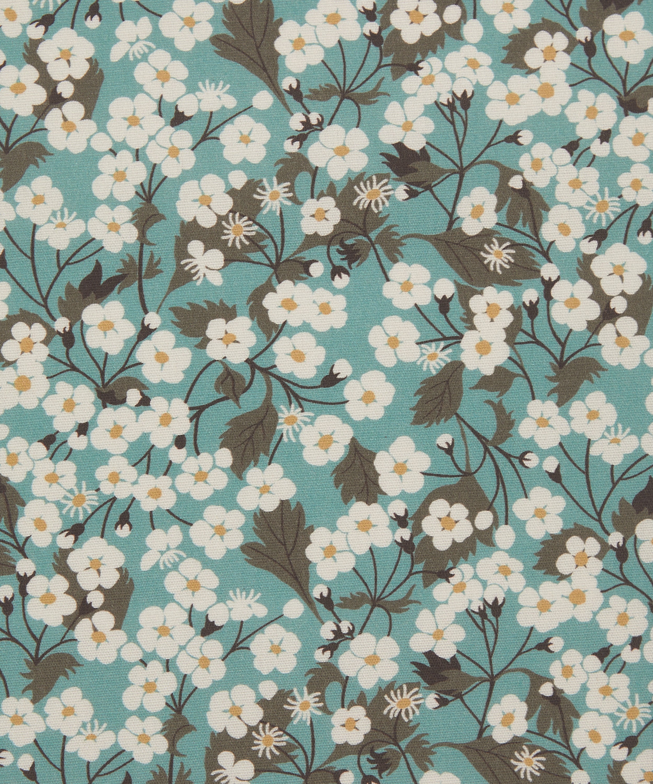 Liberty Interiors - Mitsi Blossom Cotton in Robins Egg image number 0