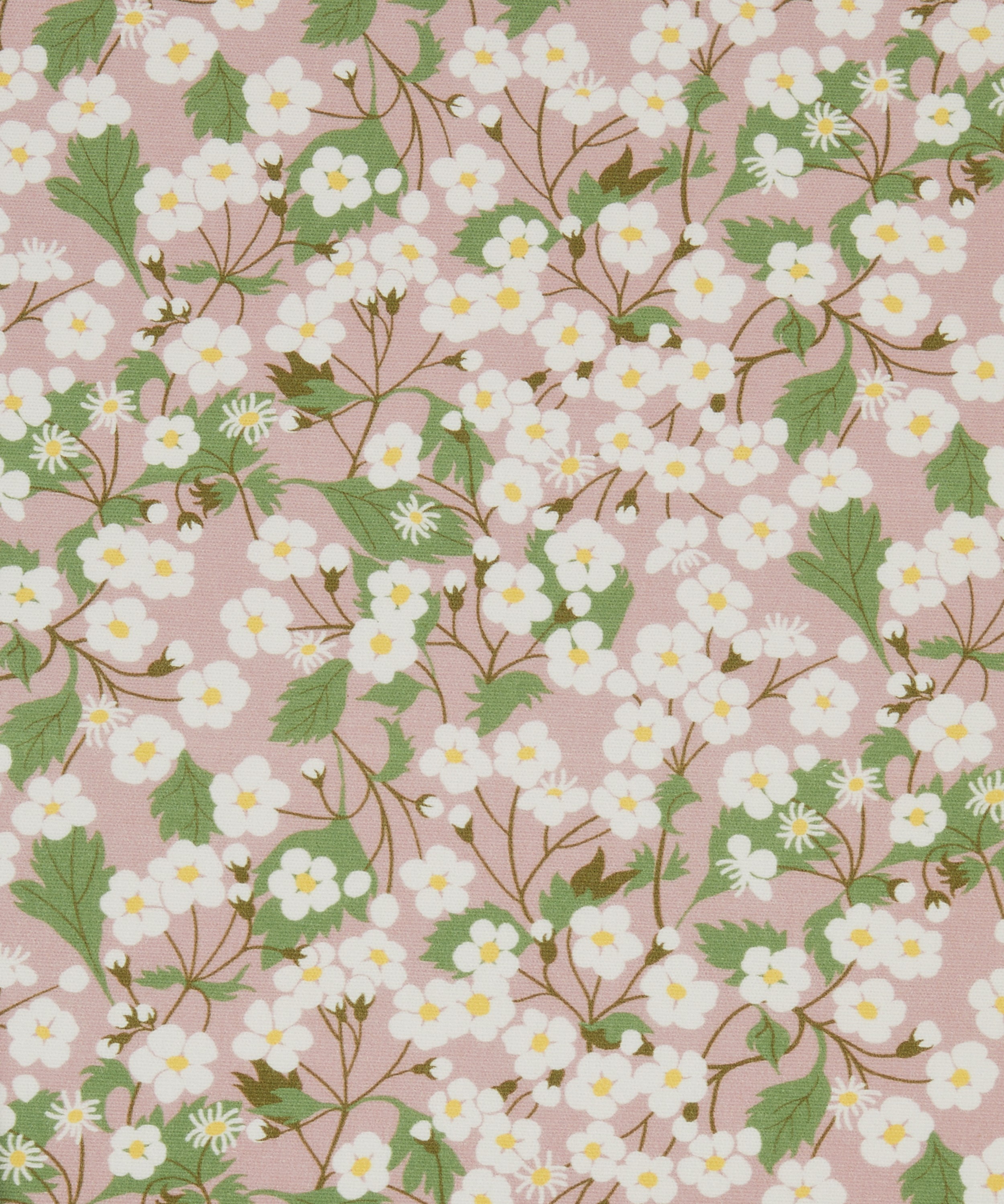 Liberty Interiors - Mitsi Blossom Cotton in Slipper image number 0
