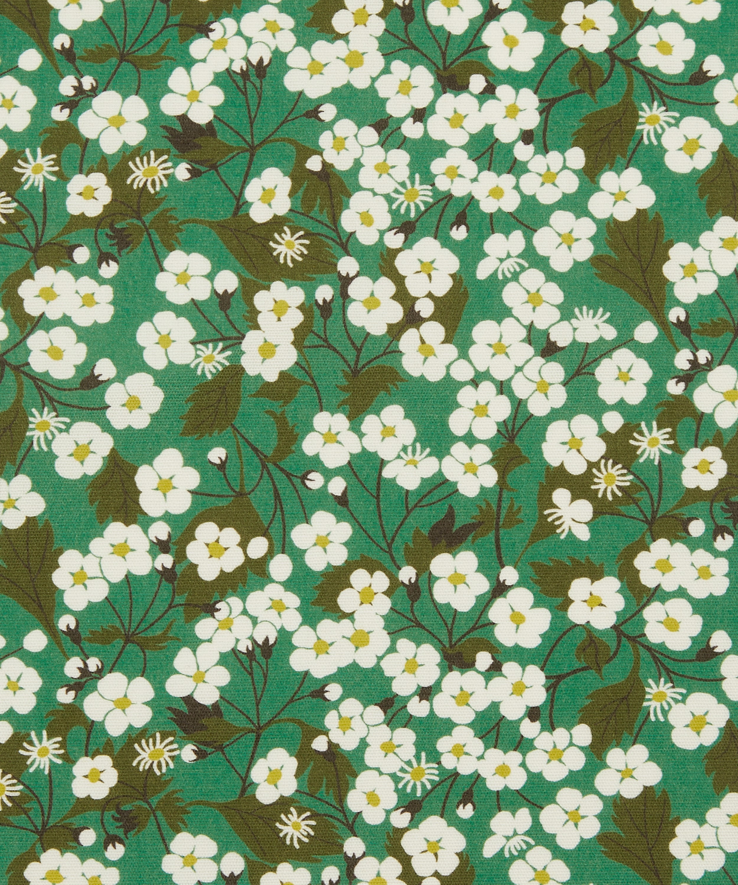 Liberty Interiors - Mitsi Blossom Cotton in Jade image number 0