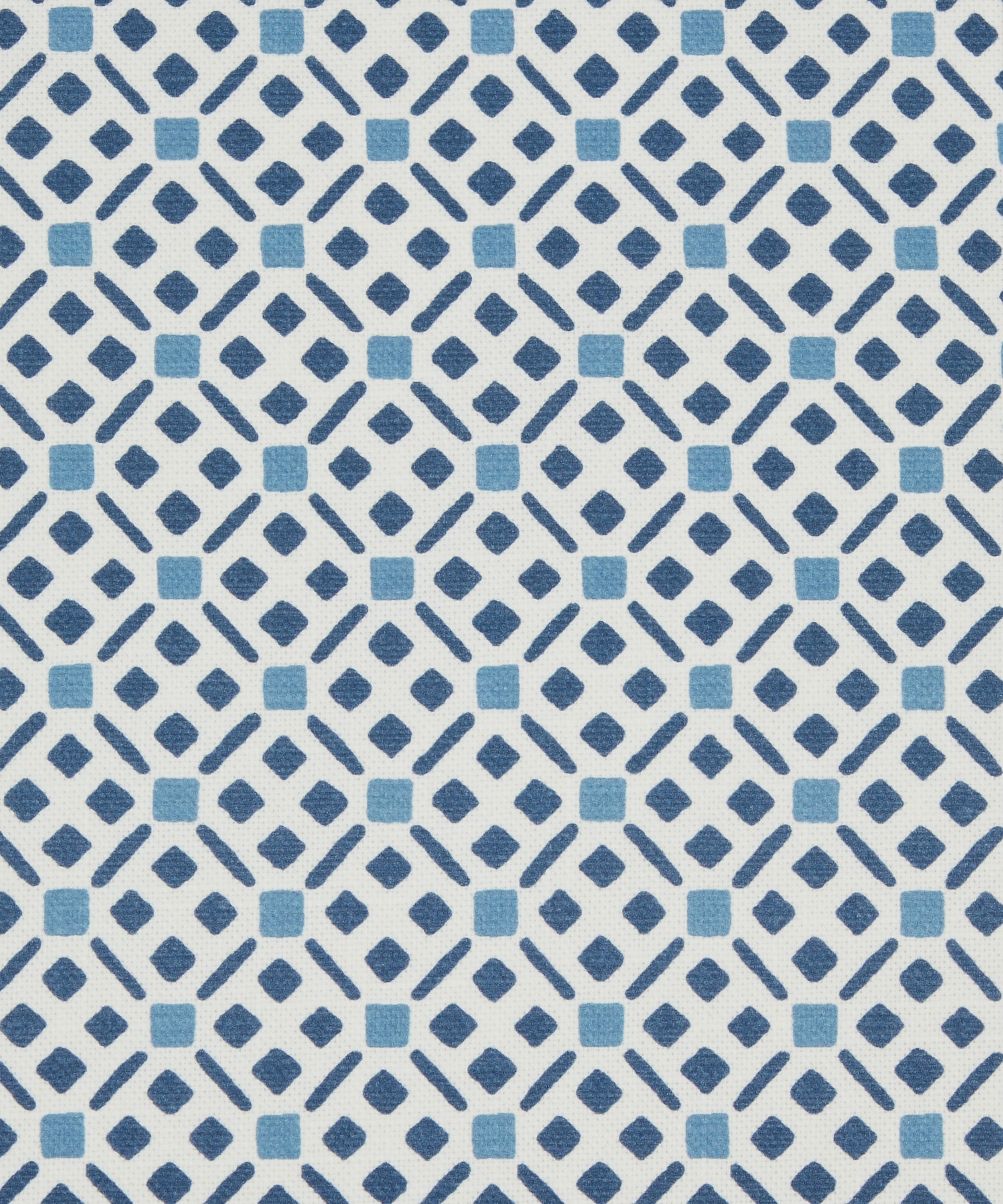 Liberty Interiors - Tapestry Trellis Cotton in Lapis image number 0