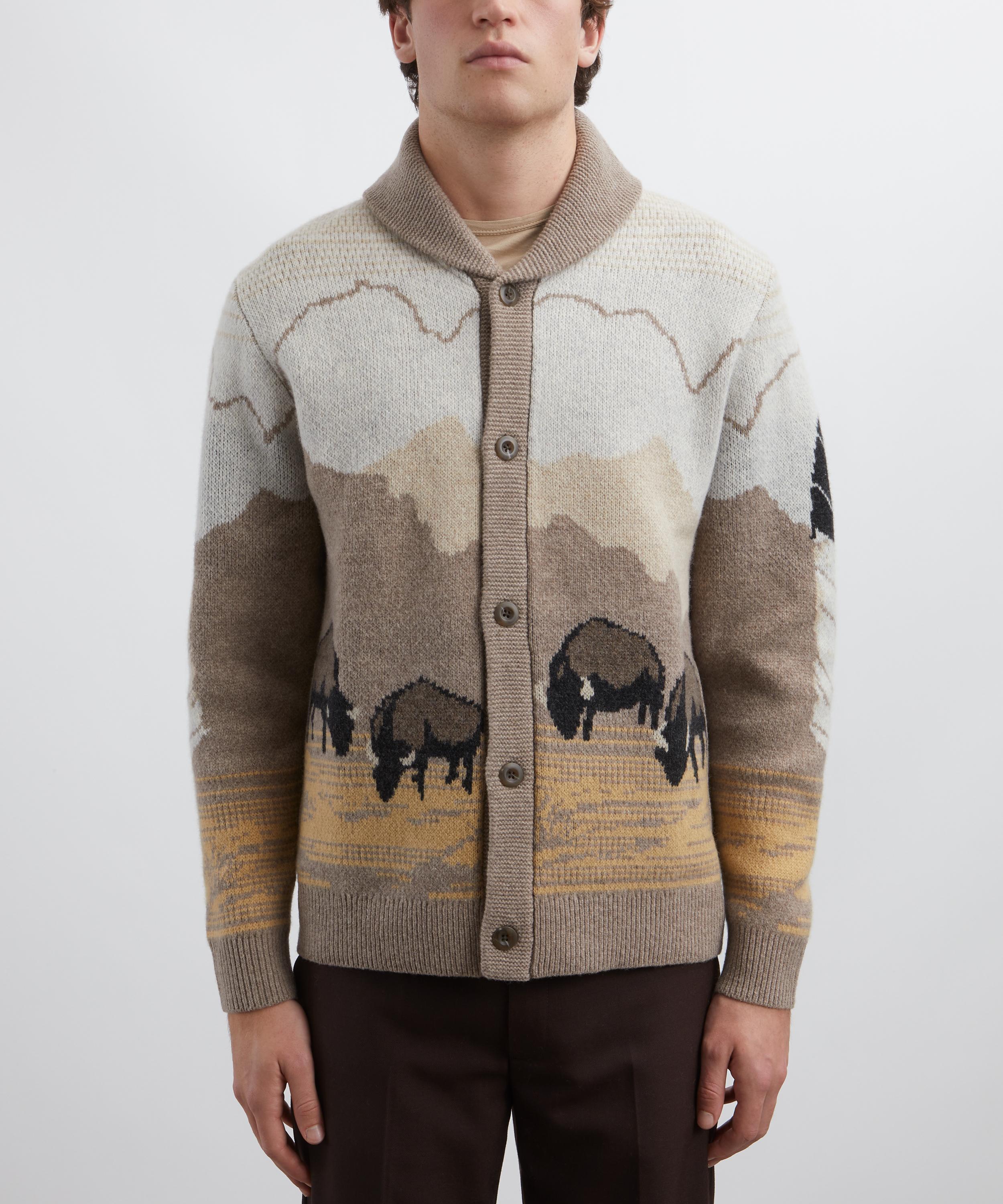 Pendleton - In Their Element Lambswool Cardigan image number 2