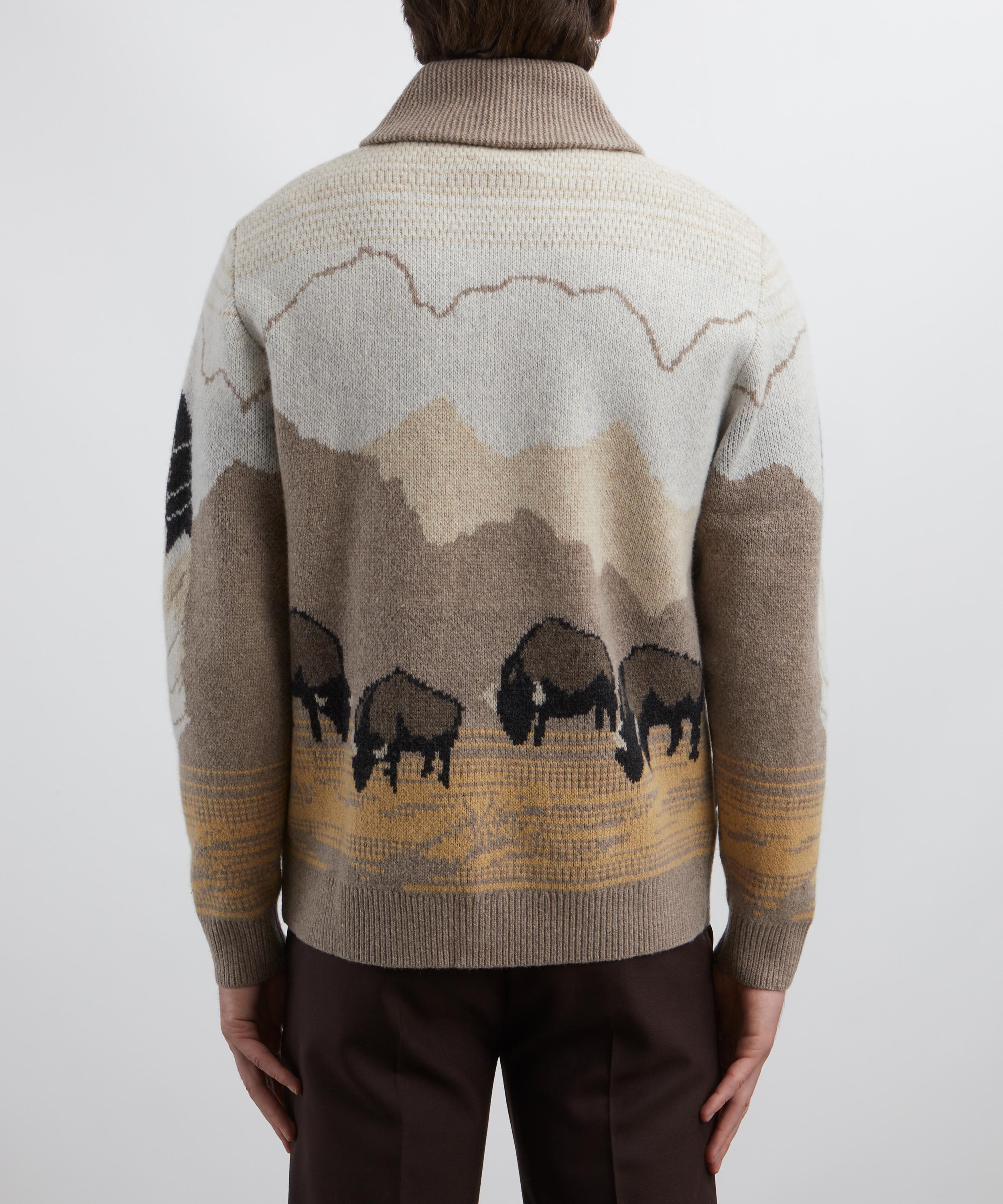 Pendleton - In Their Element Lambswool Cardigan image number 3