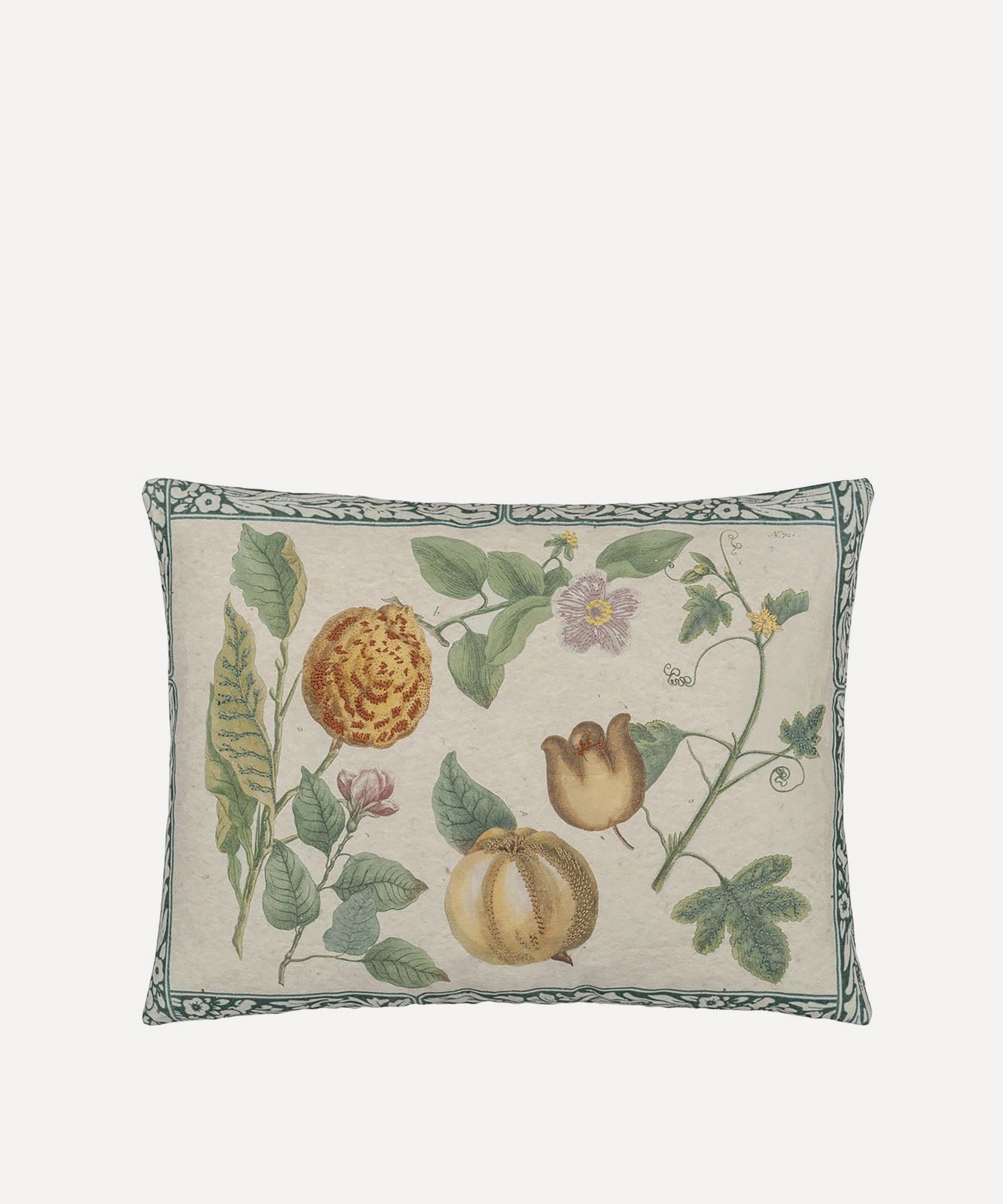 John Derian - Lemons Canvas Cushion image number 0