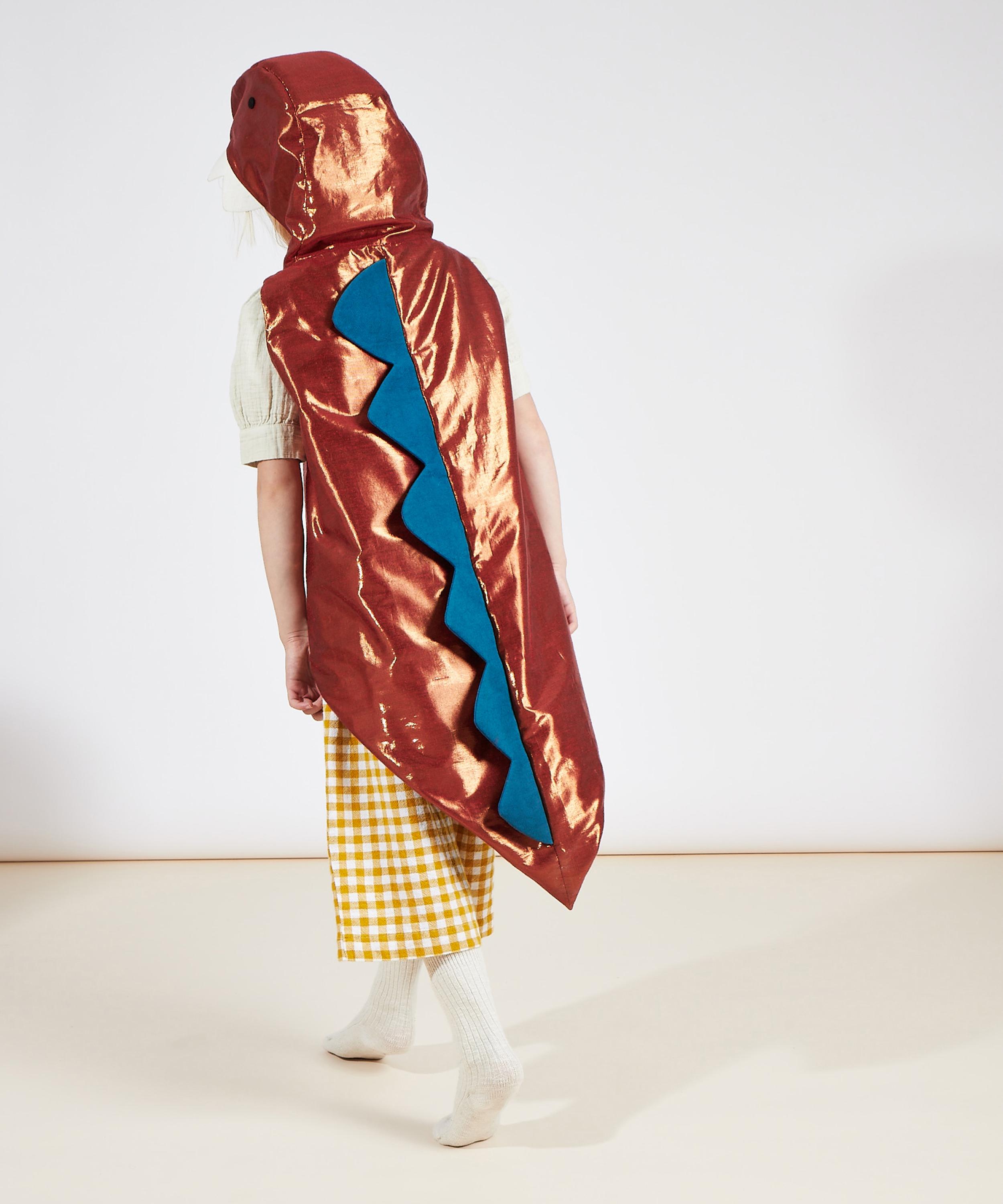 Christmas - Dinosaur Costume image number 1