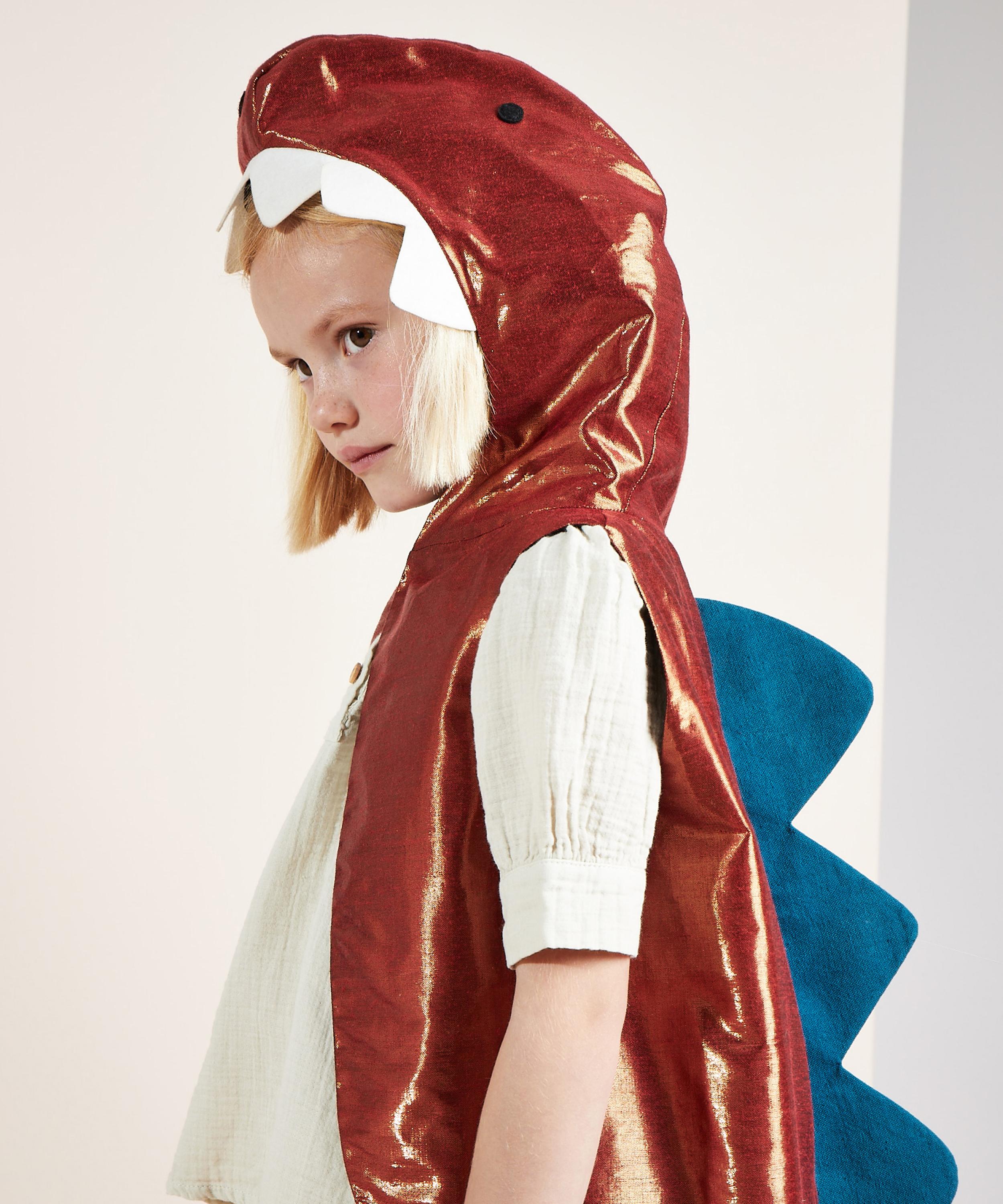 Christmas - Dinosaur Costume image number 2