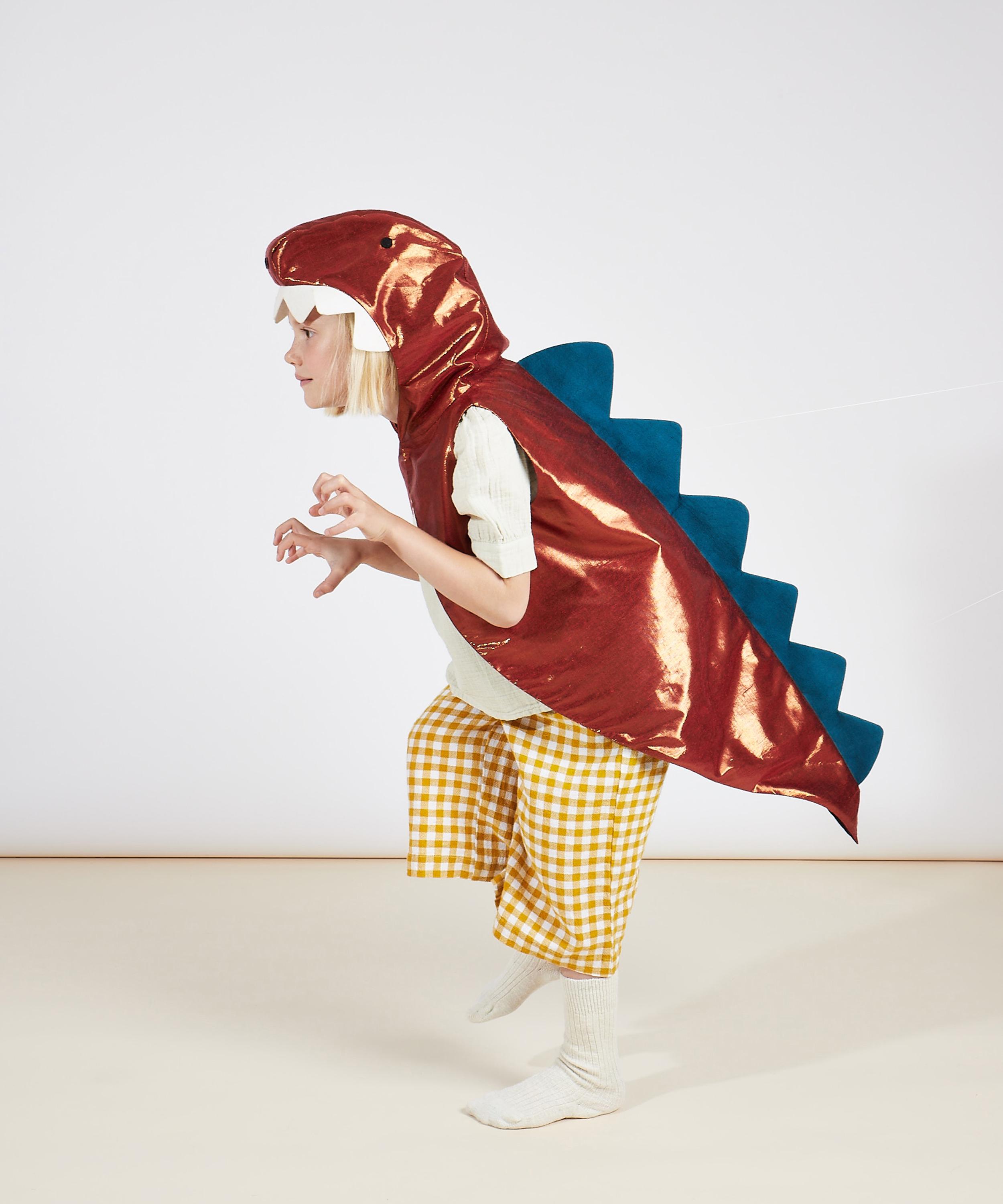 Christmas - Dinosaur Costume image number 3