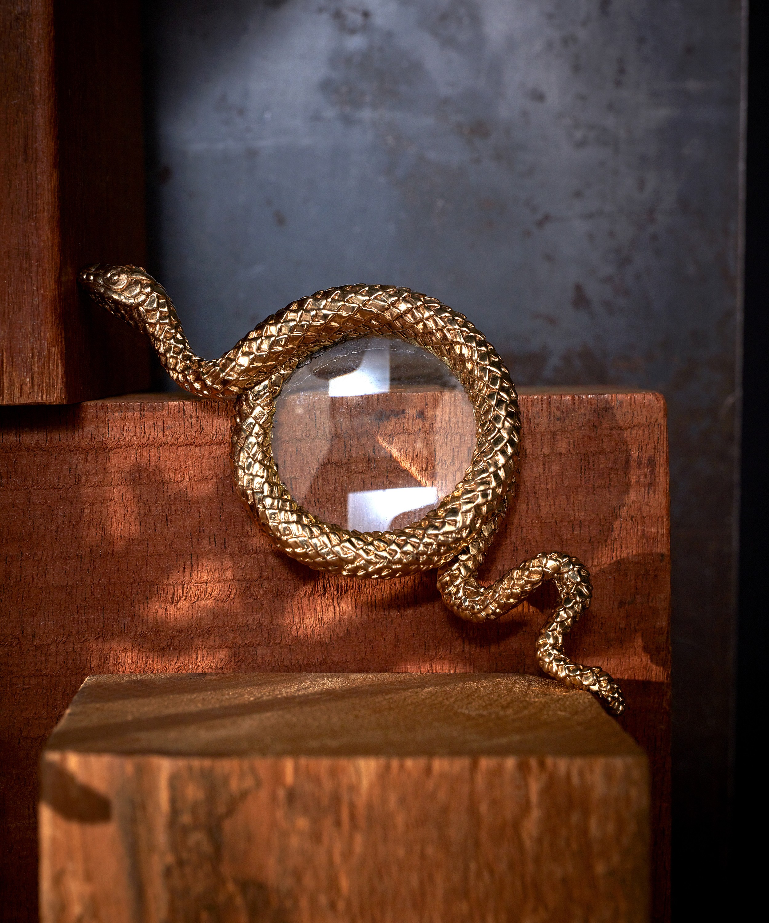 L'Objet - Small Snake Magnifying Glass image number 1