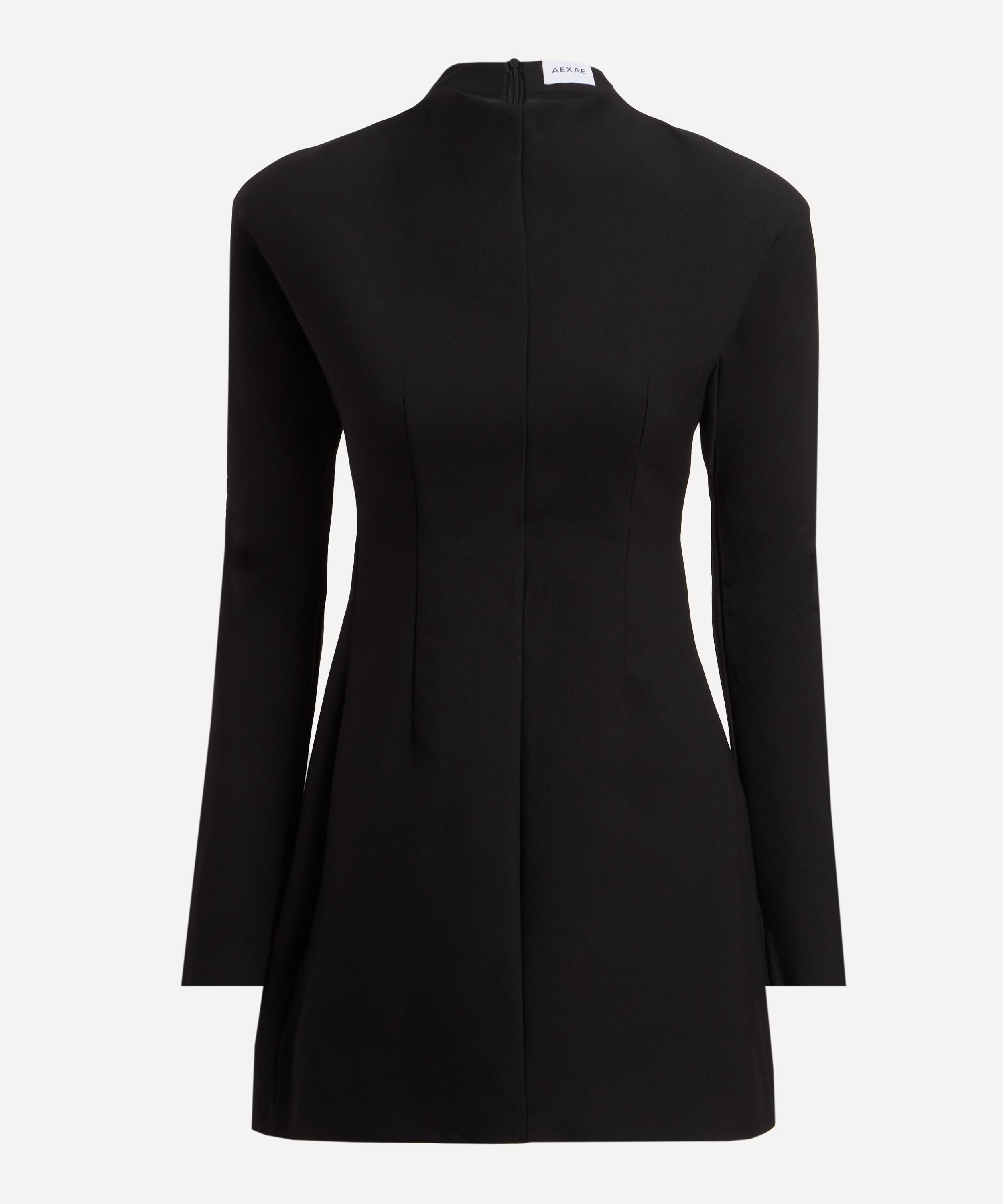 AEXAE - Wool Contoured Turtleneck Mini Dress image number 0