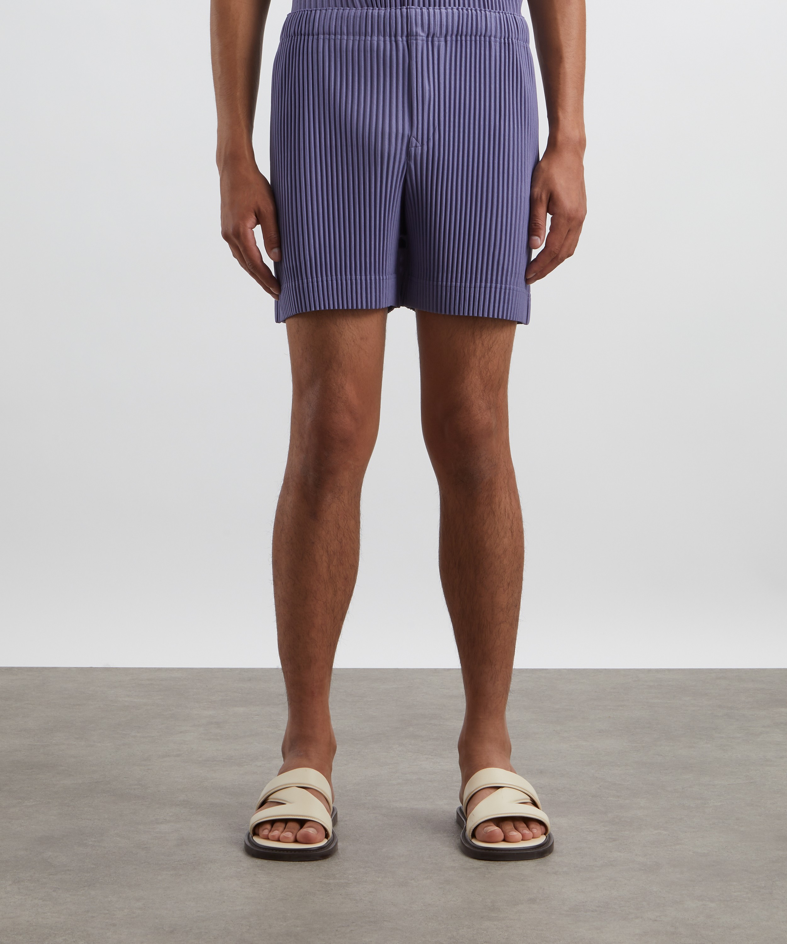 HOMME PLISSÉ ISSEY MIYAKE - MONTHLY COLOURS JULY Shorts image number 2