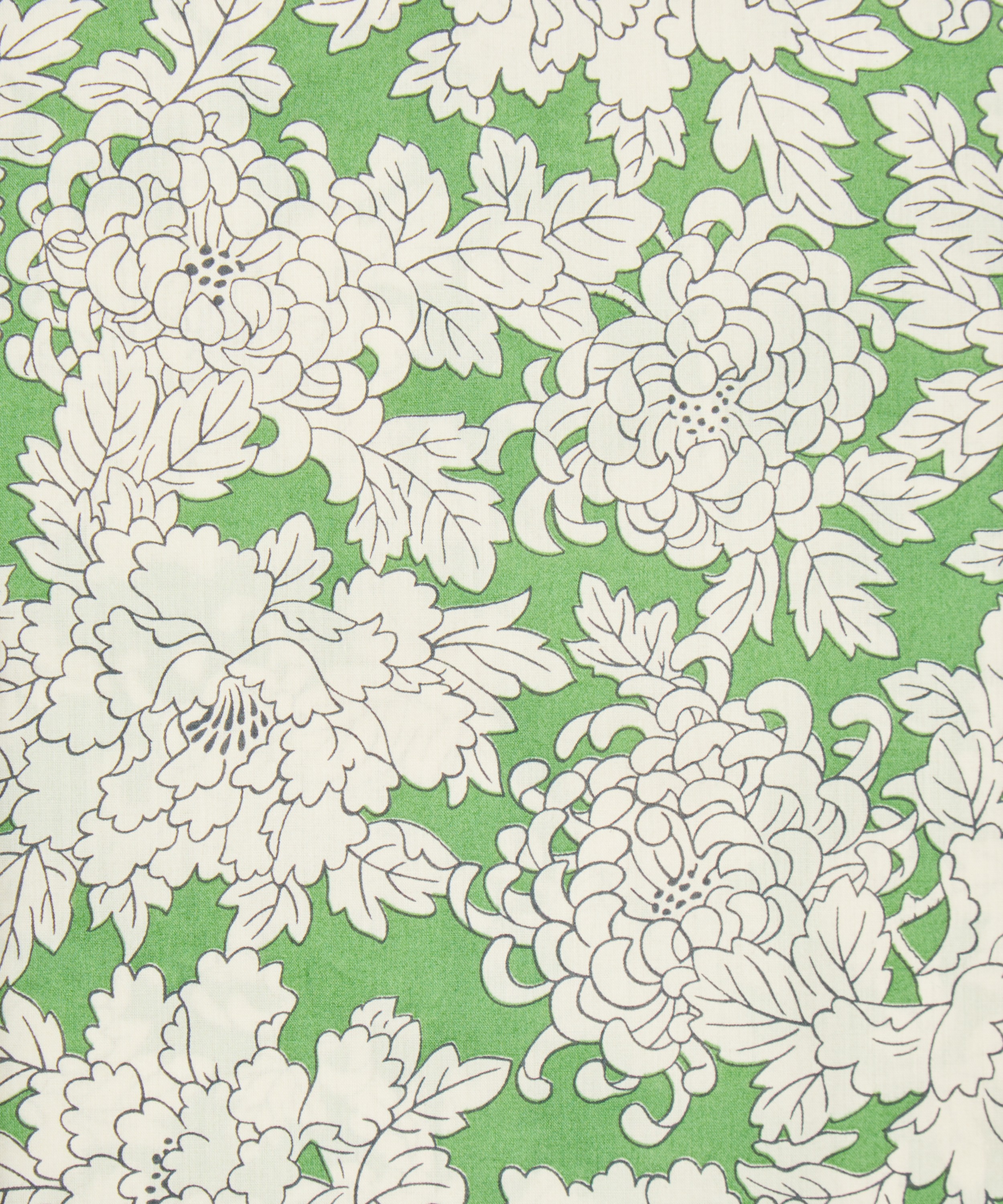 Liberty Fabrics - Costume Tana Lawn&trade; Cotton image number 0