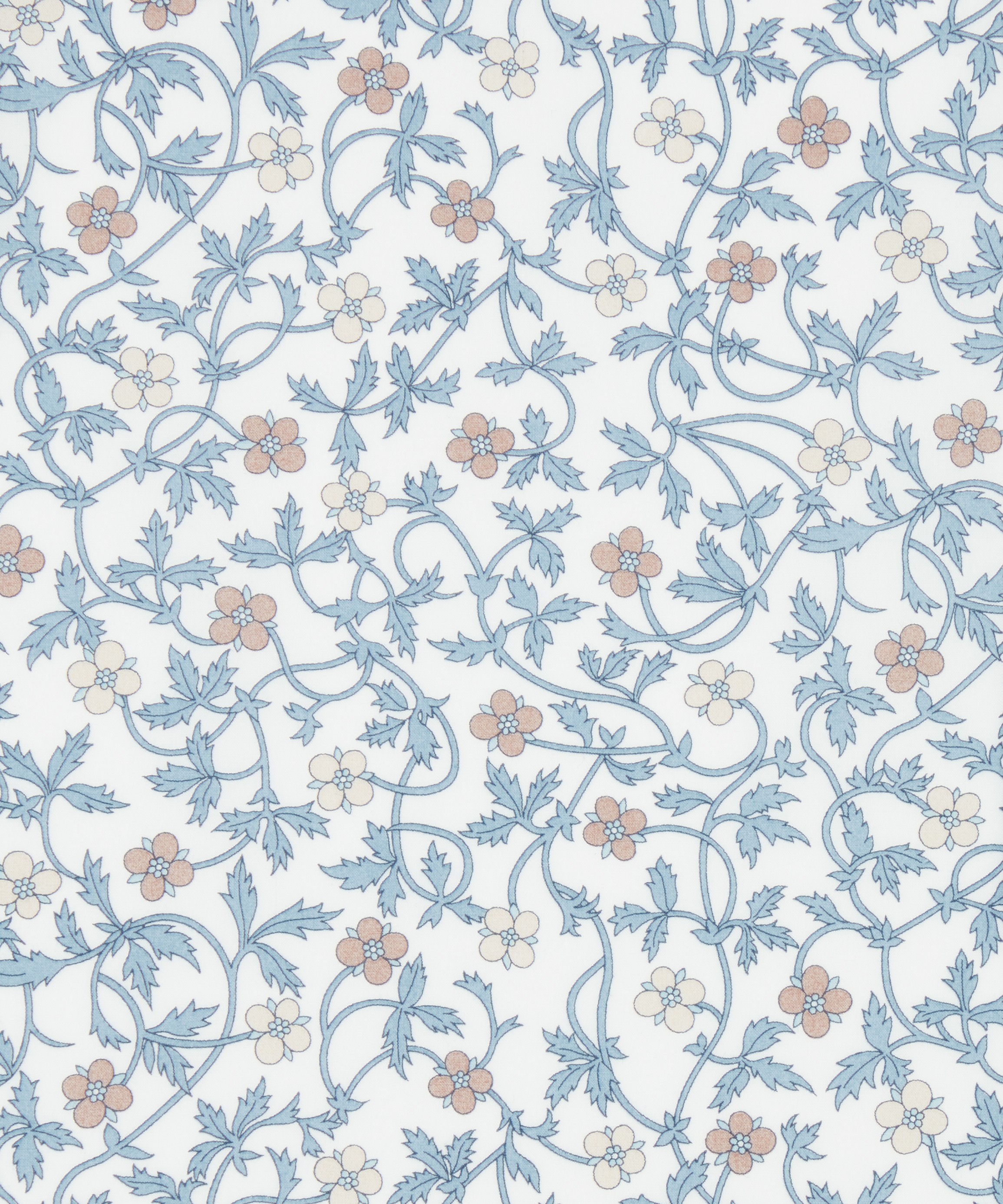 Liberty Fabrics - Rosita Trail Cotton Poplin