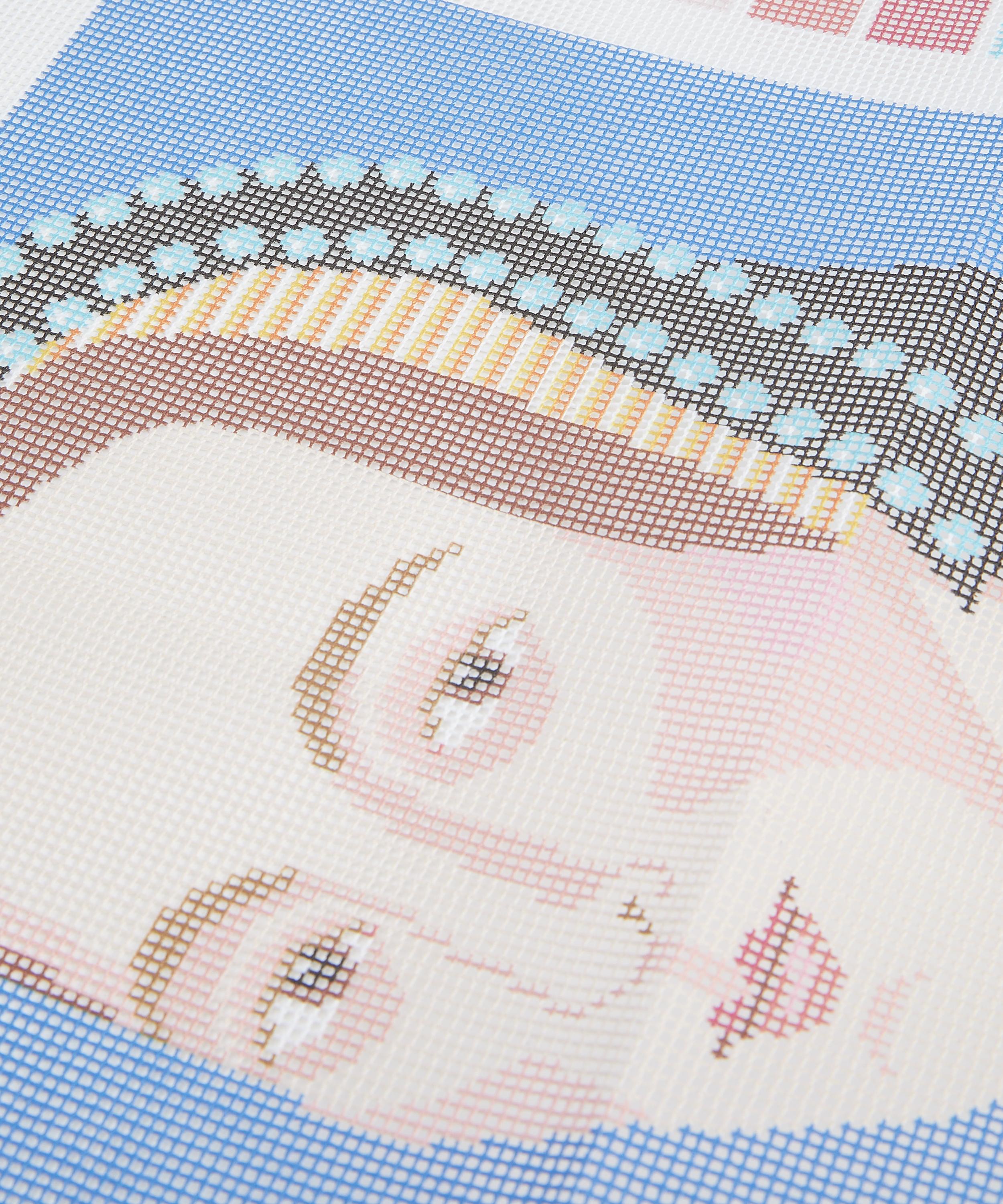 Appletons - Ann Boleyn Tapestry Kit image number 2